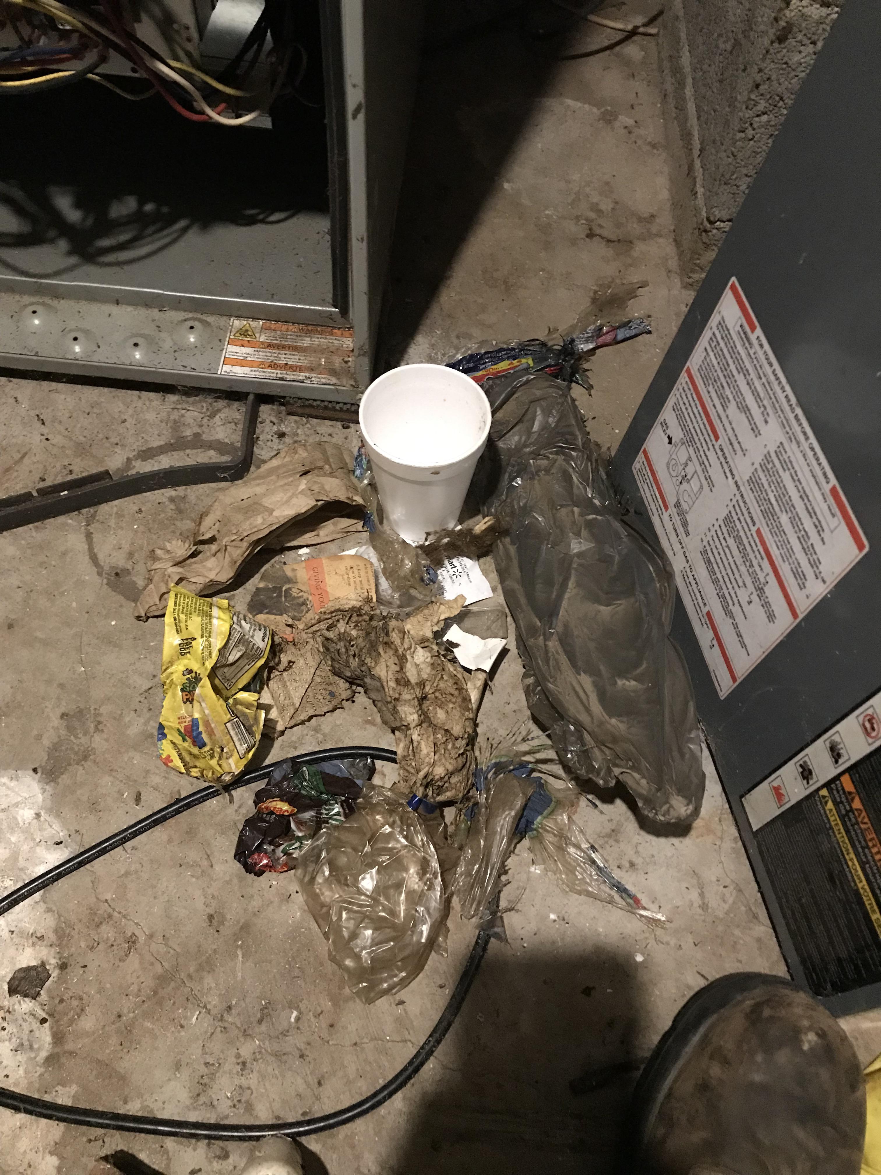 Customer said that the furnace seems to be making a lot of noise, poor