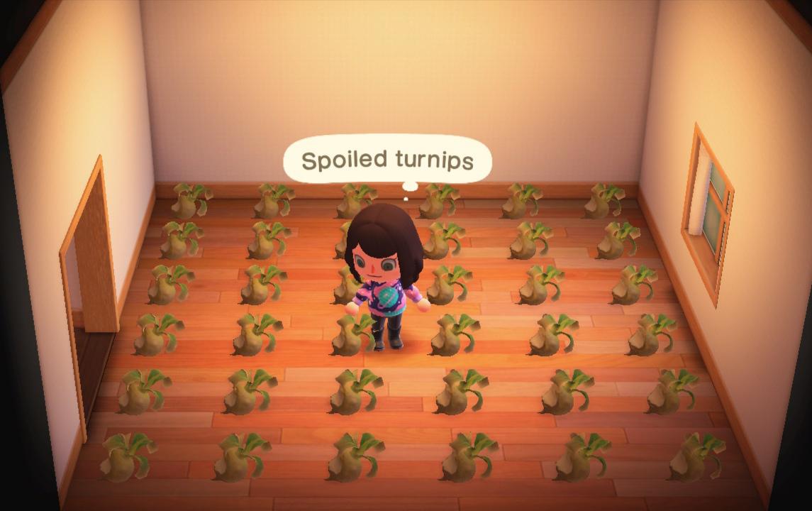 Lost over a million bells worth of turnips... r/AnimalCrossing