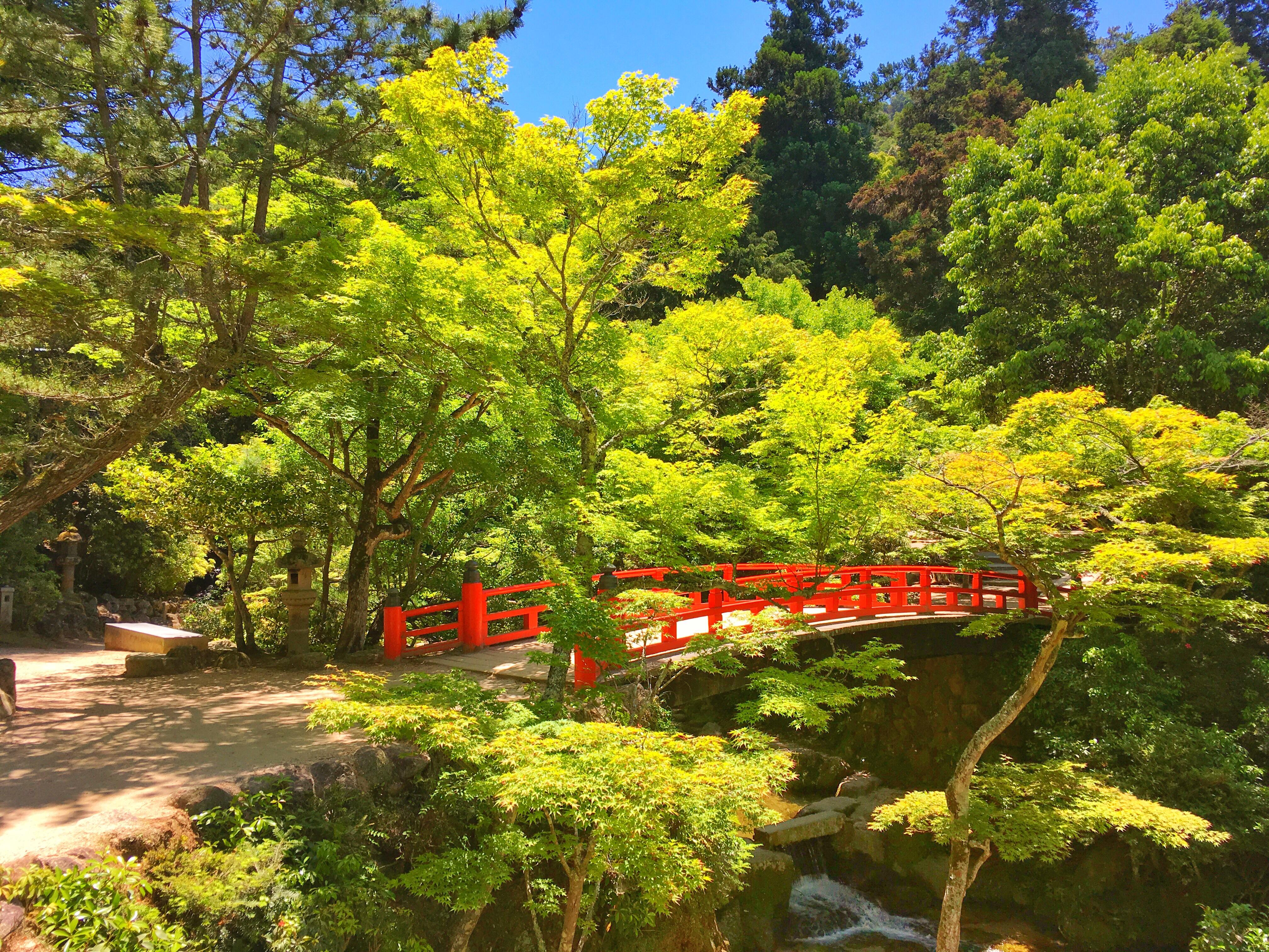 Little red bridge, Miyajima, May 2018 [OC] r/japanpics