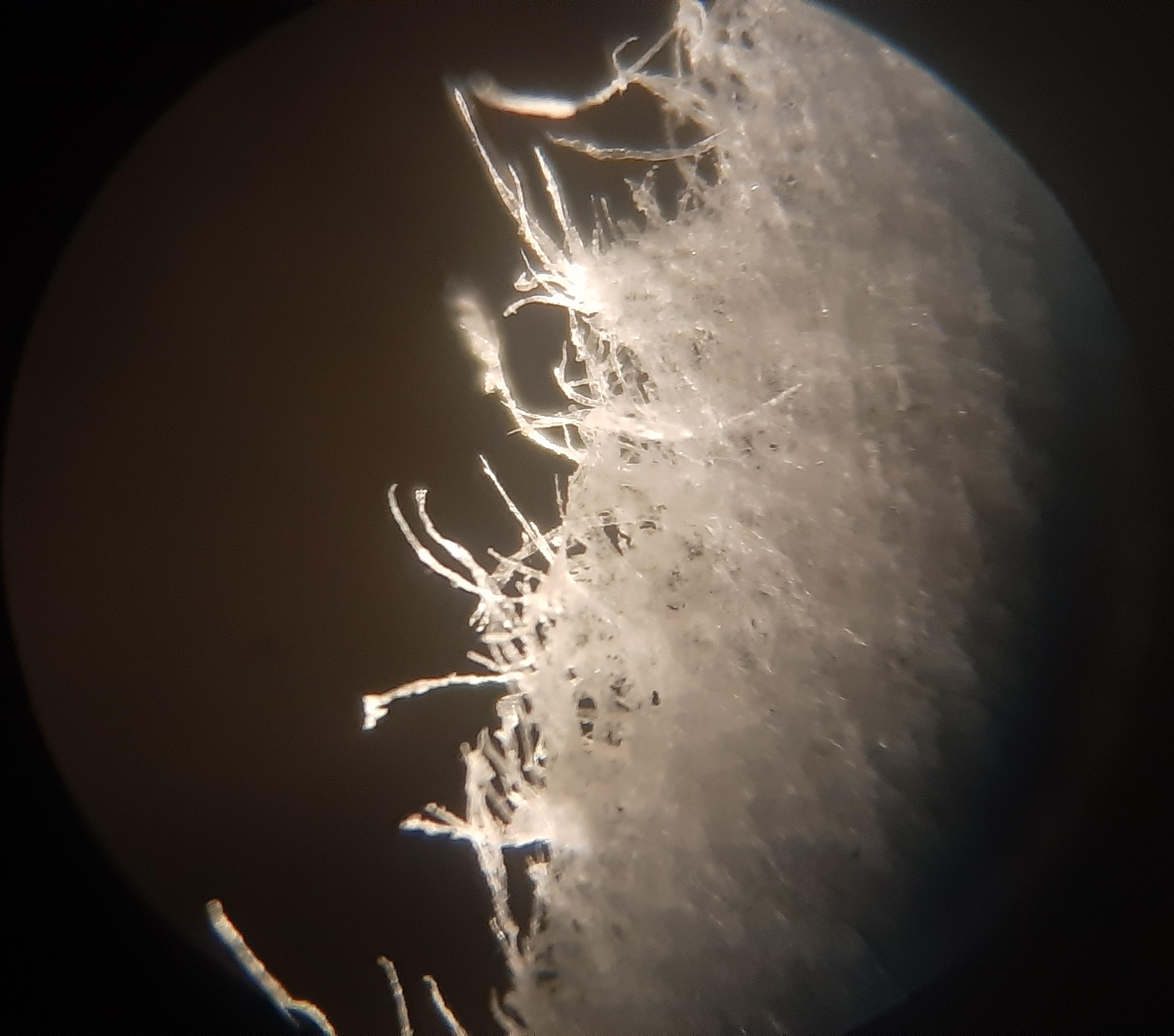 The edge of a torn piece of paper under a microscope r/interestingasfuck