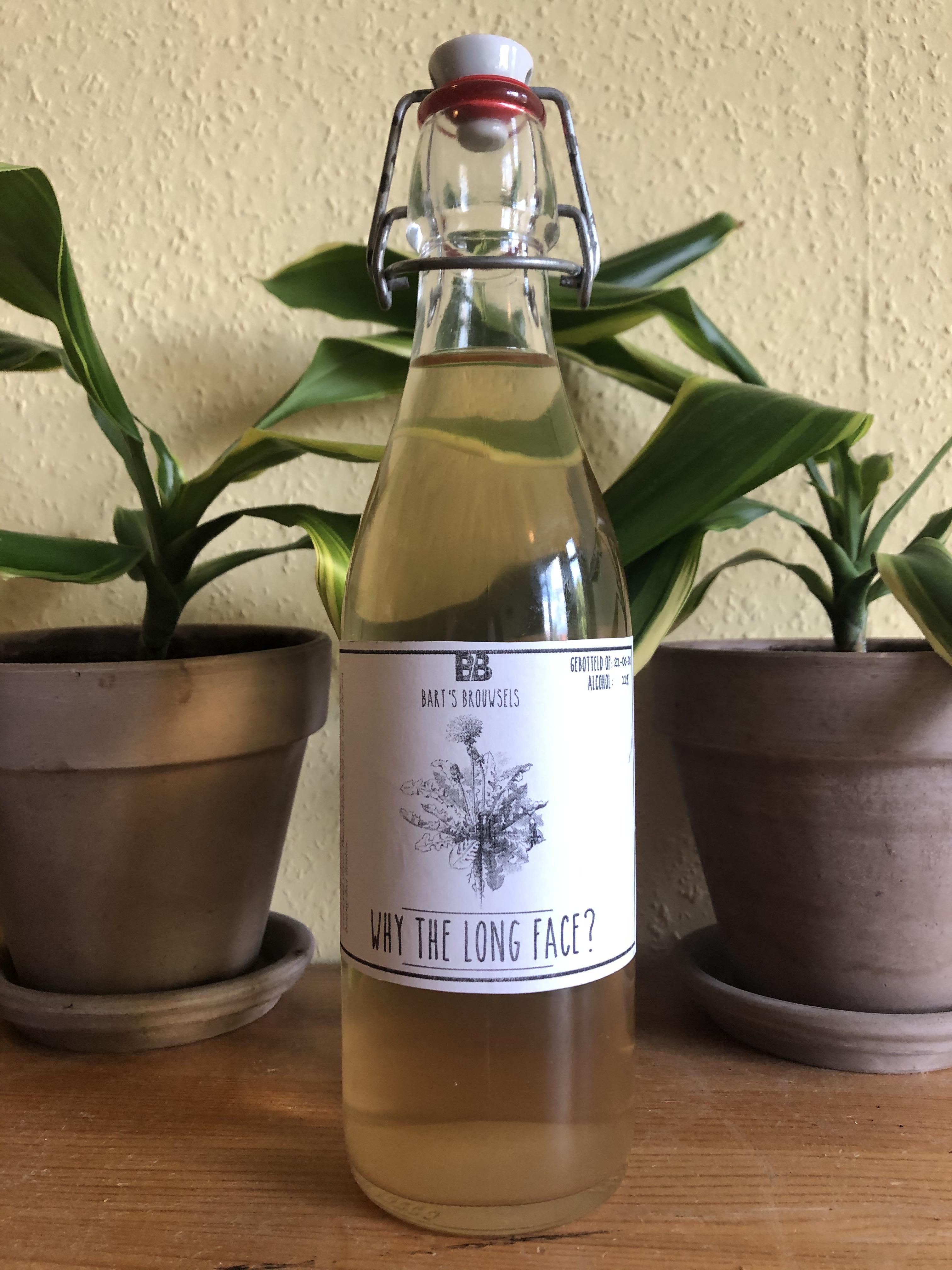 Dandelion wine not carbing. What do? r/winemaking