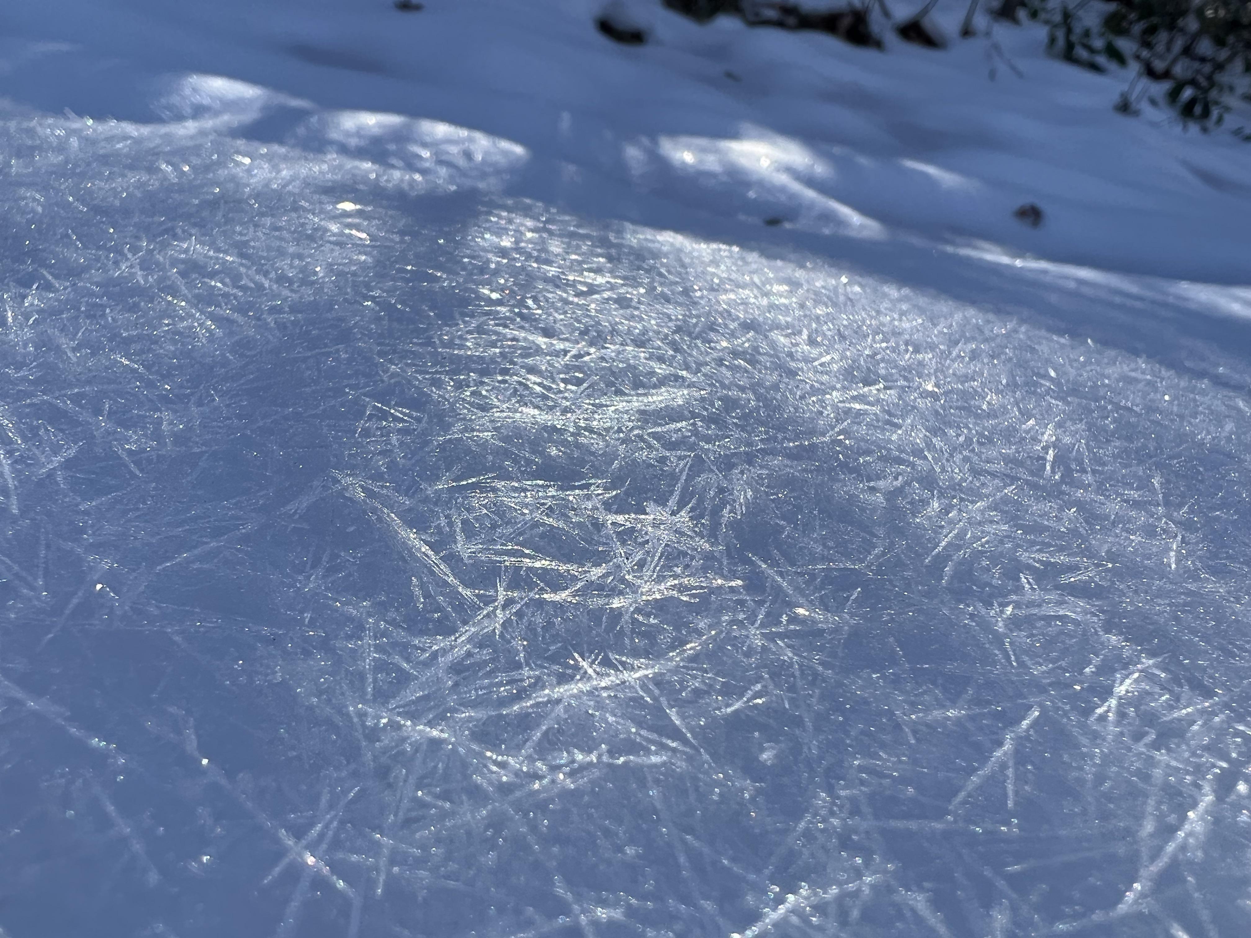 Odd Freeze on Hogback Mountain Tryon, NC 2022 r/WNC