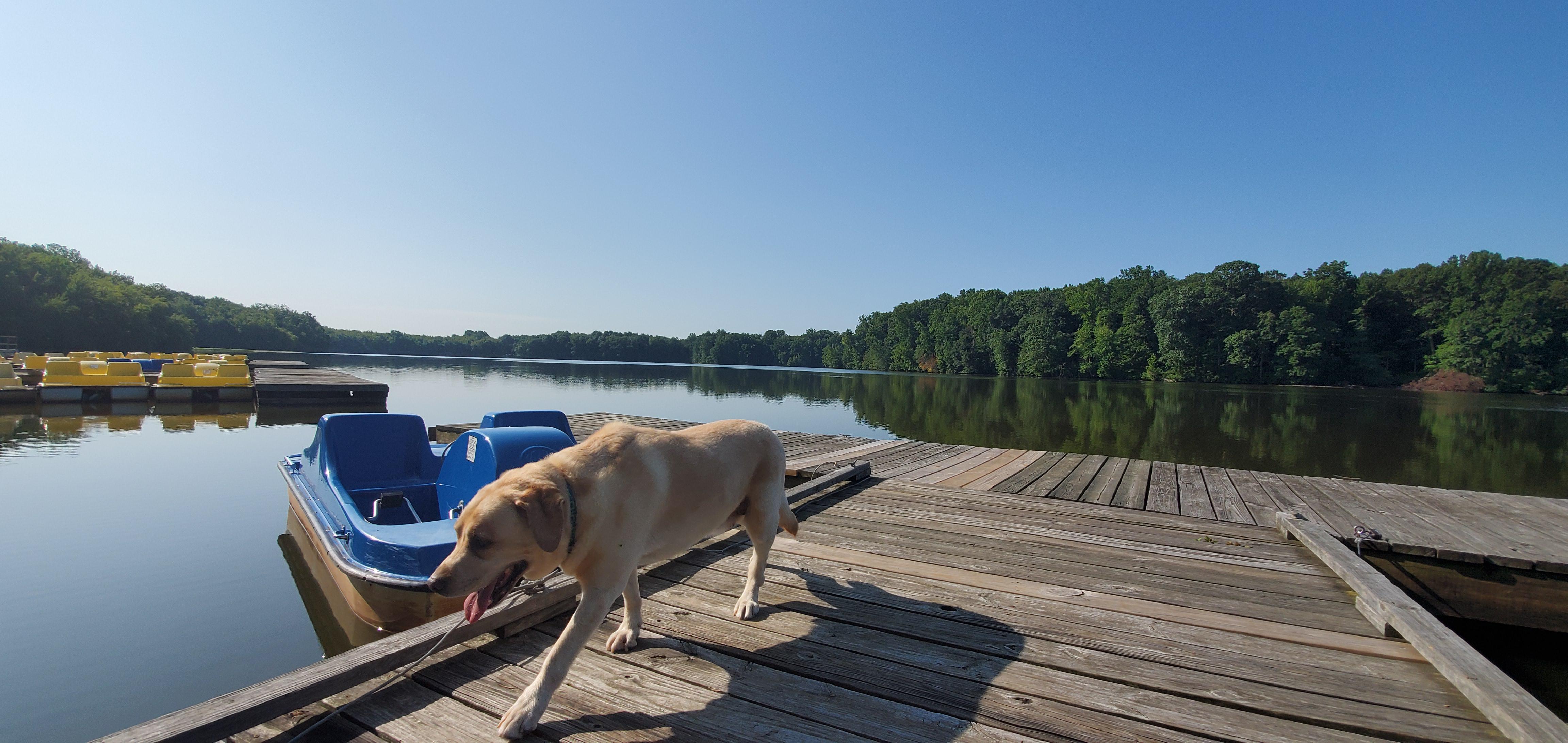 Lums Pond r/Delaware