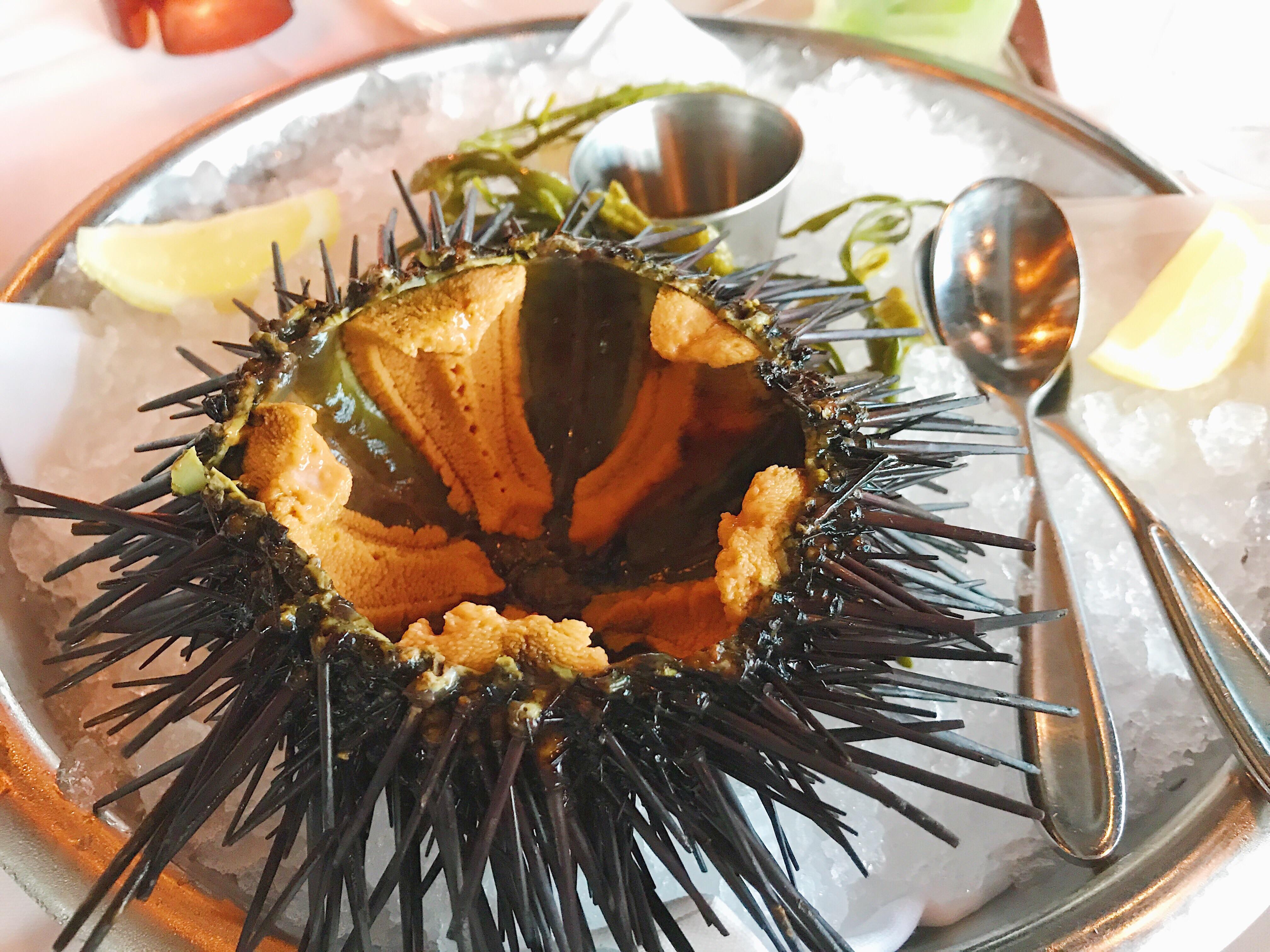 [I Ate] Live sea urchin r/food