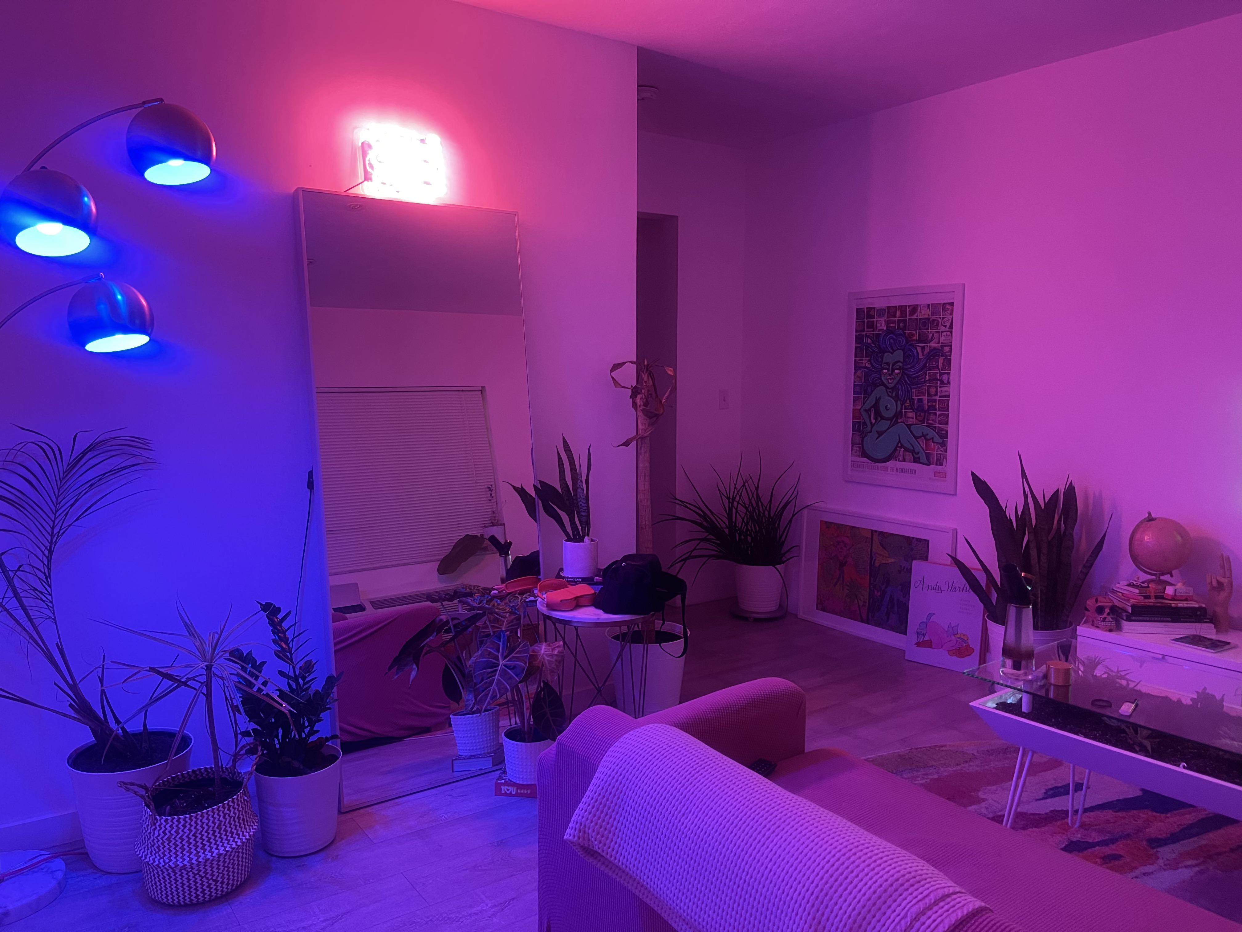 I wanted to post my living room too 😤