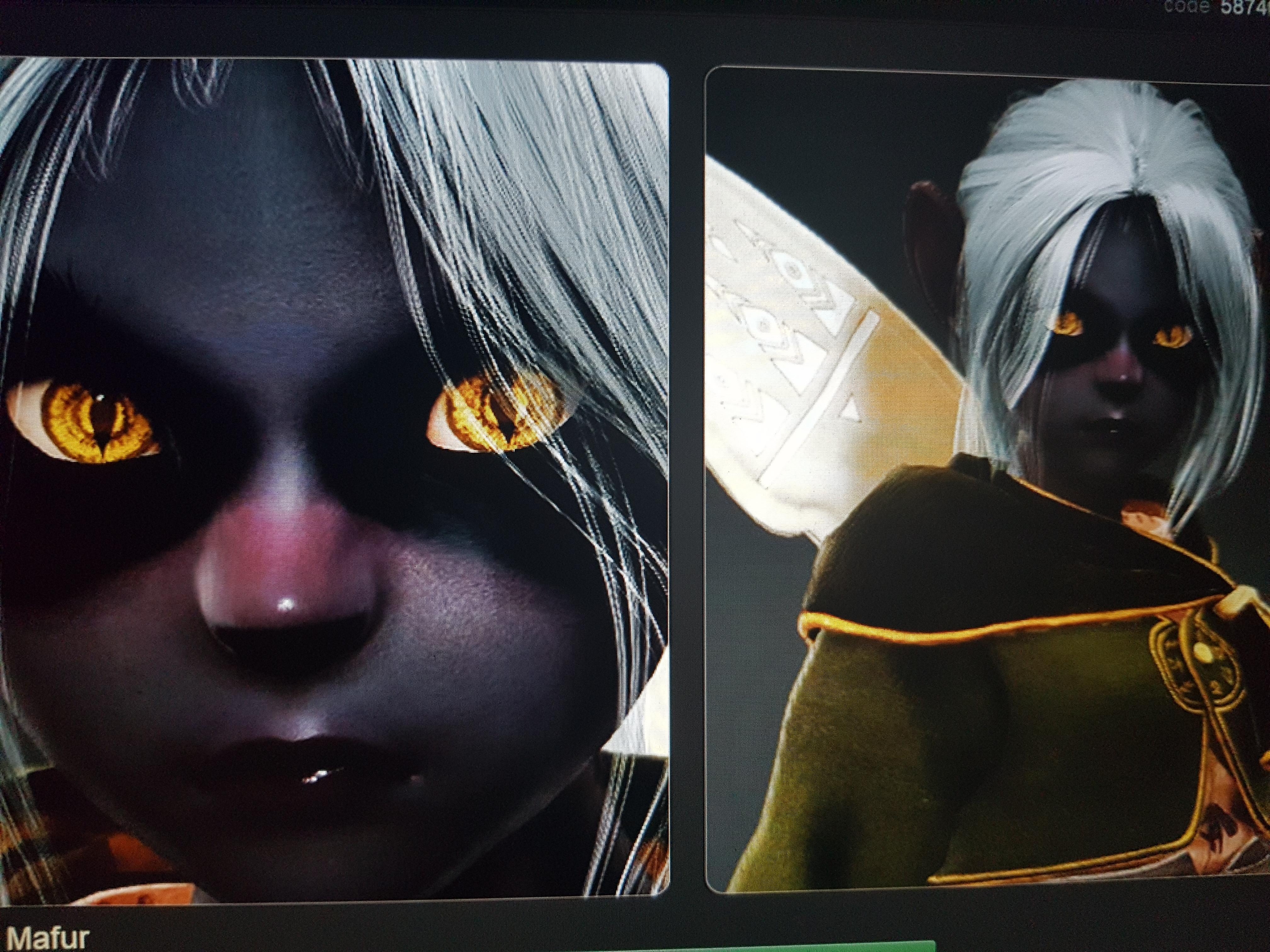 The Panther of Serendia (actually got other characters too) r