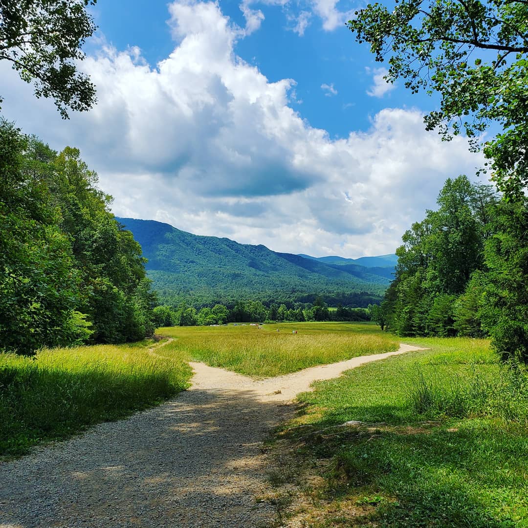 View from Cade's Cove r/Tennessee