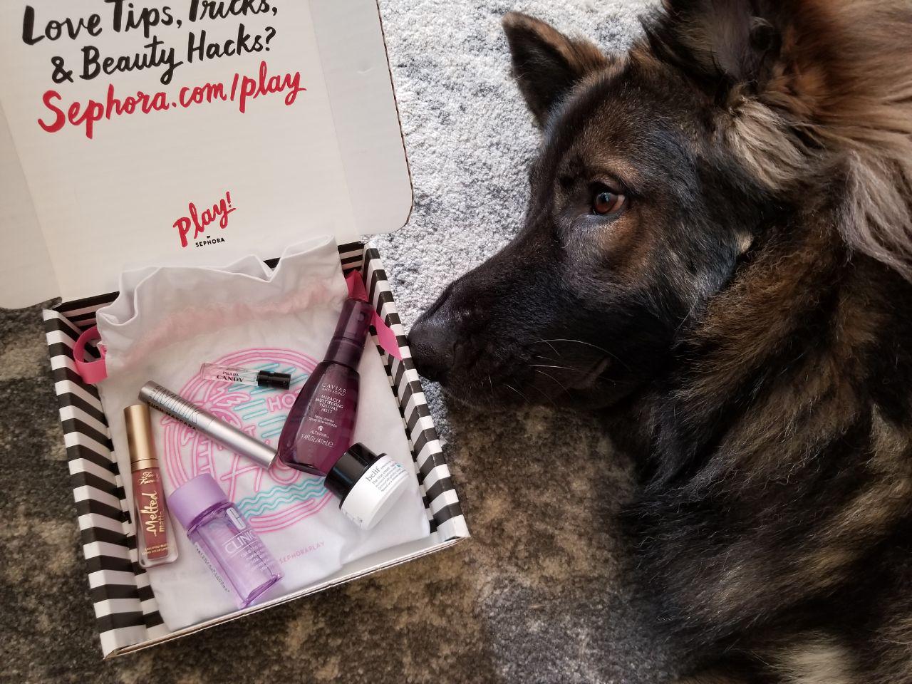 Sephora 363 Concerned dog edition. r/BeautyBoxes