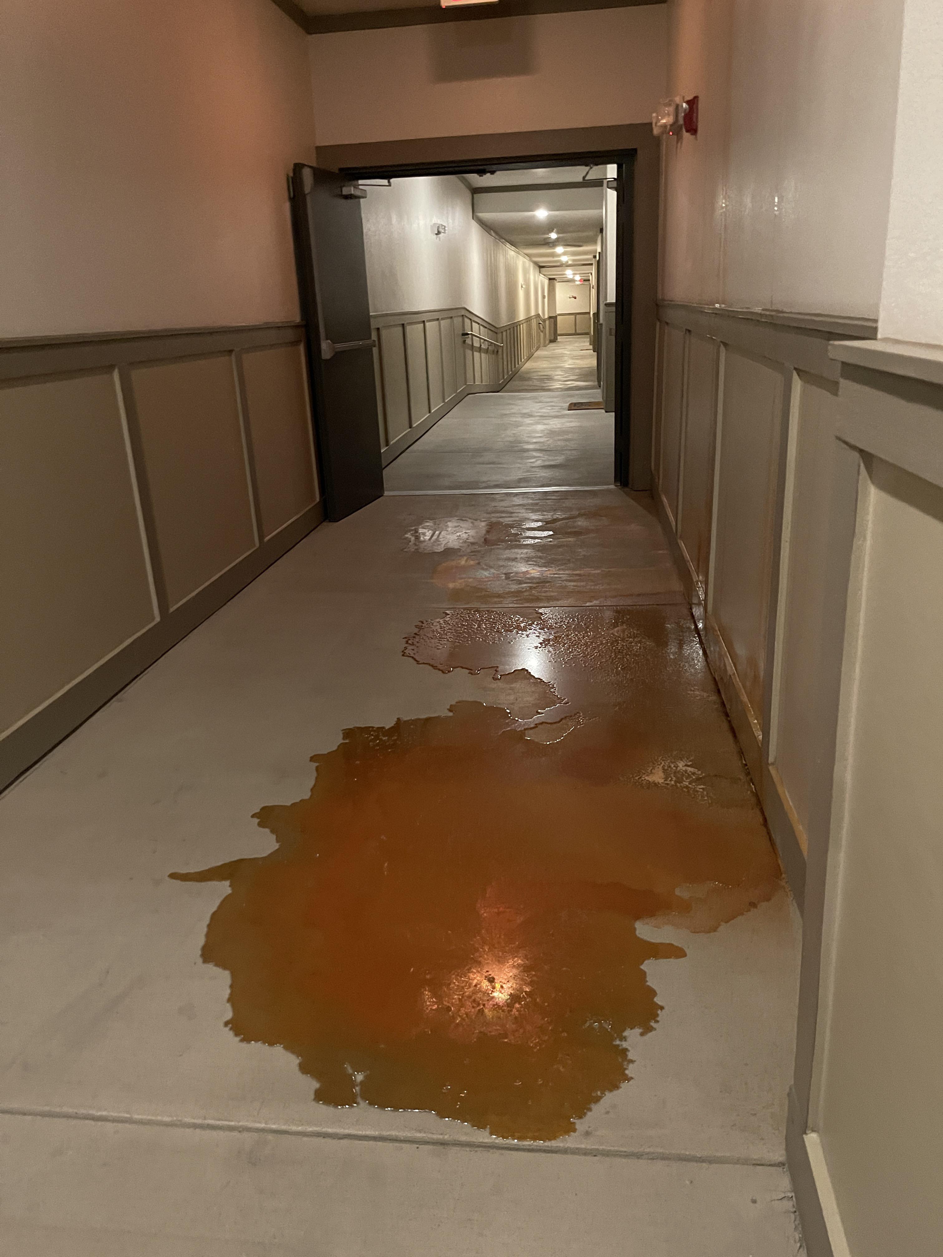 Top floor apartment leaking this from ceiling / wall. Maintenance says