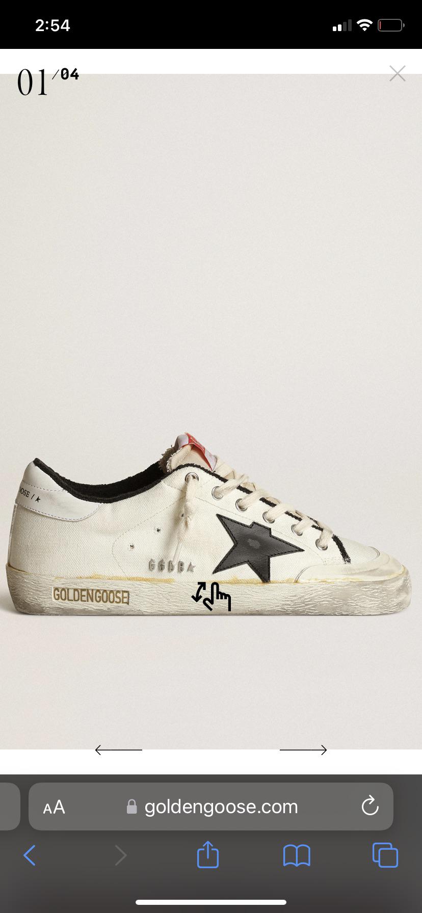 Golden goose? Any sellers not looking for a agent. Just don’t want to