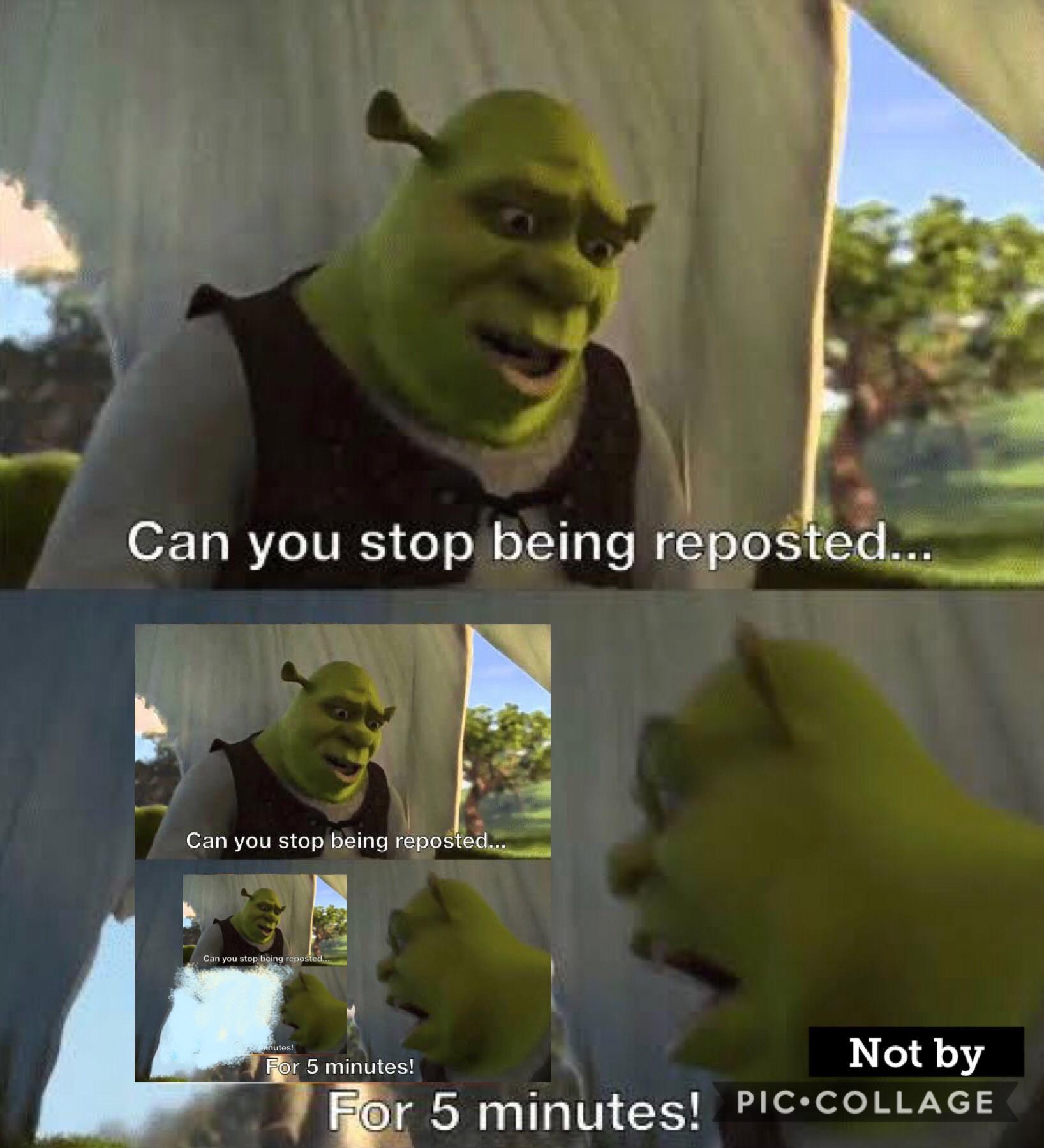 Shrek 5 Minutes Meme BHe