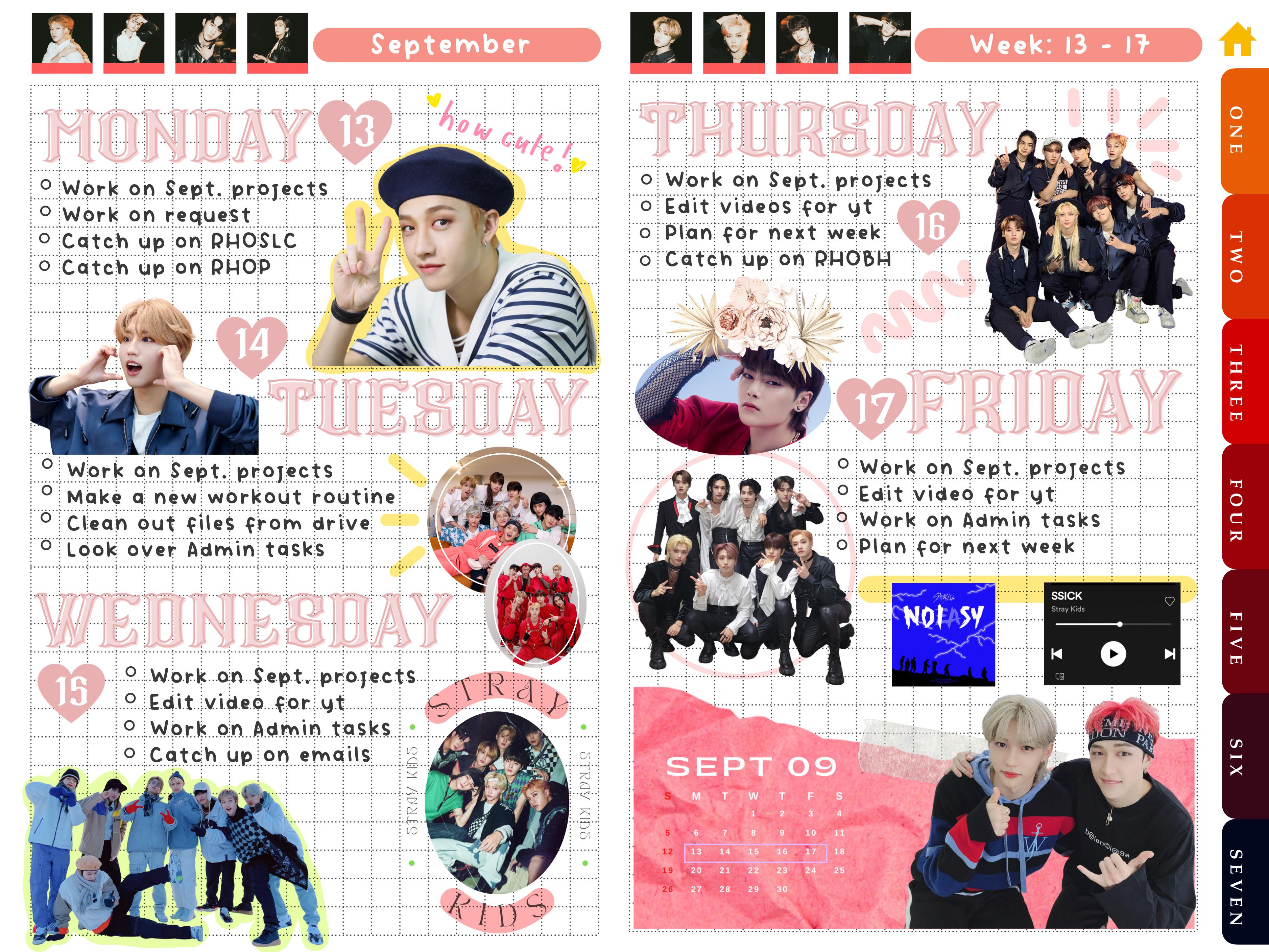 STRAY KIDS inspired notebook (my weekly spread) r/GoodNotes