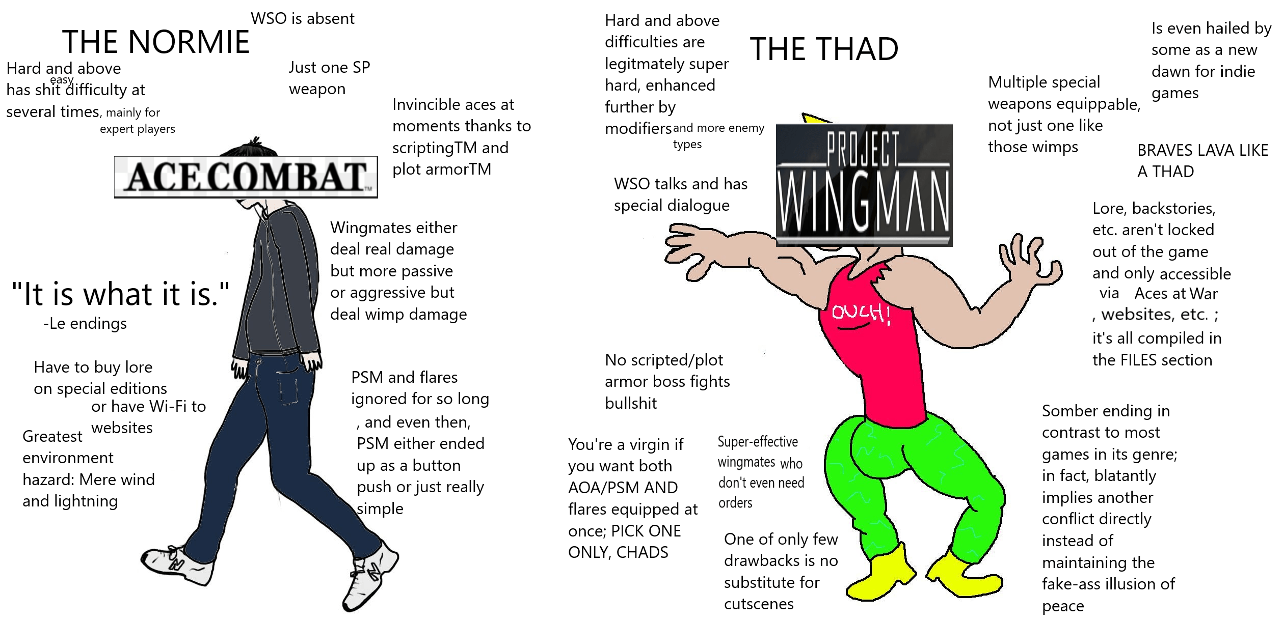 The Virgin Ace Combat vs the Chad Project Wingman