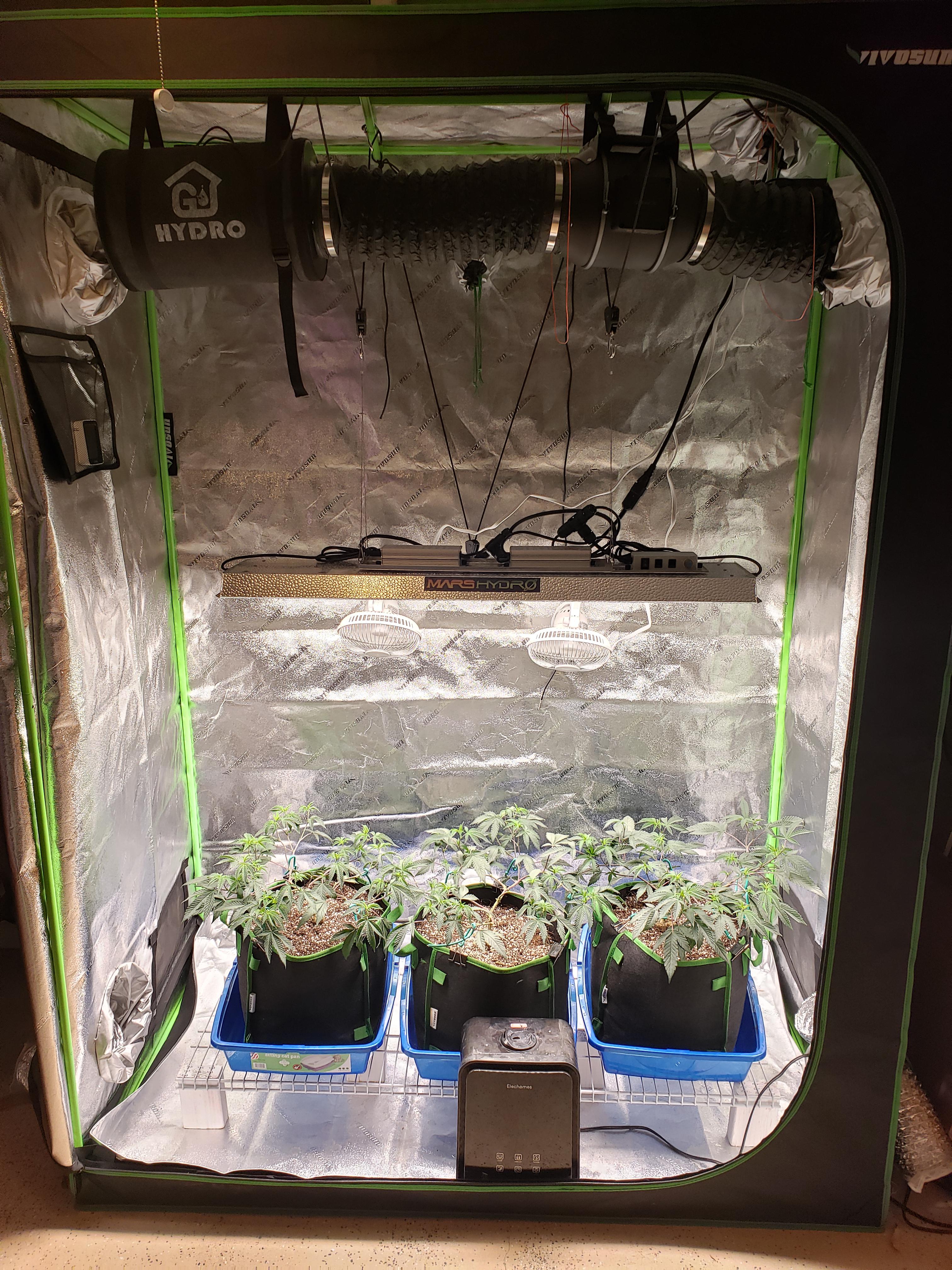 Tent setup ac infinity 6" inline fan, Two 6" fans, Mars hydro Tsl