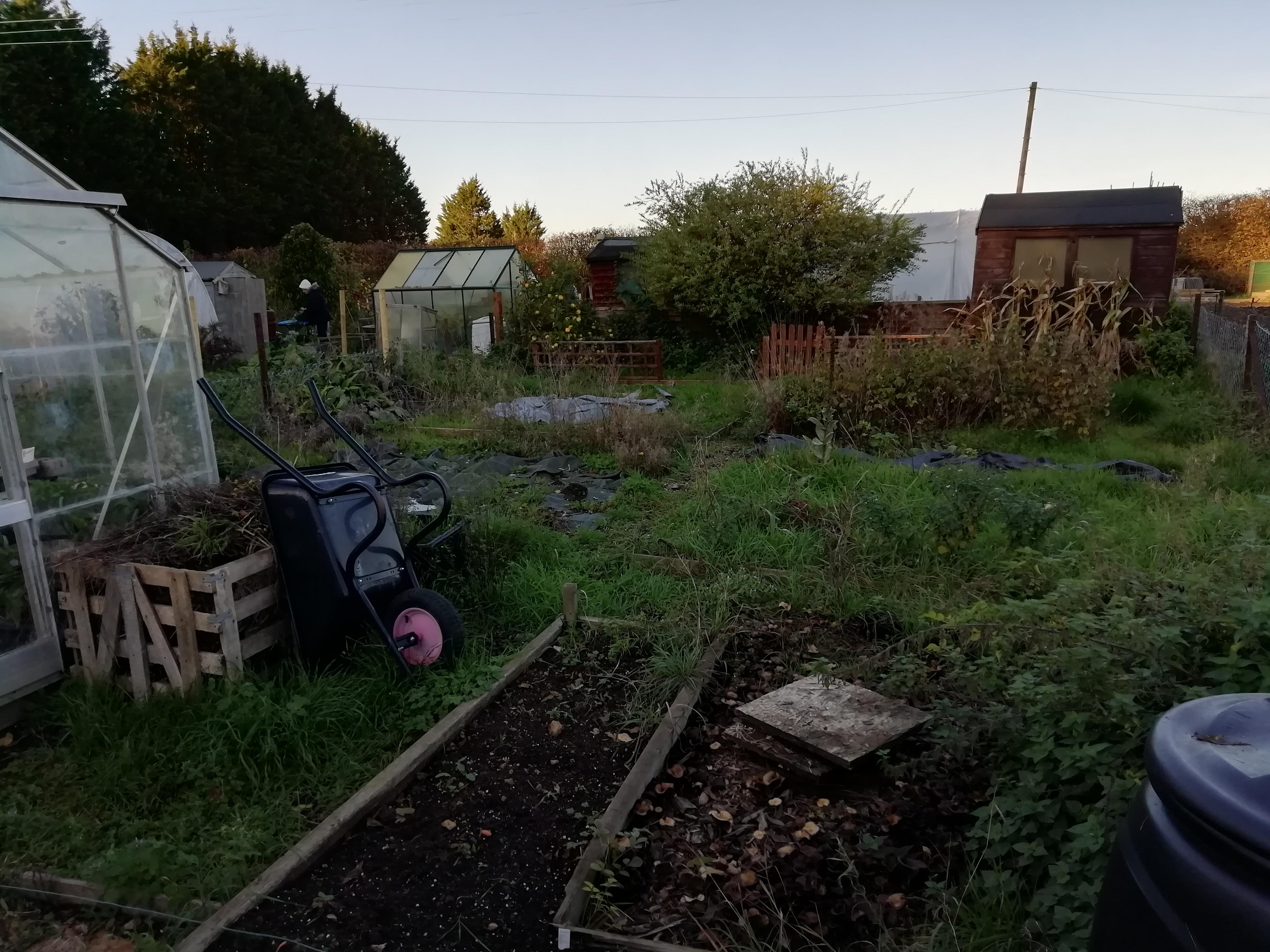 New plot, what to grow now? we've just taken over our first allotment