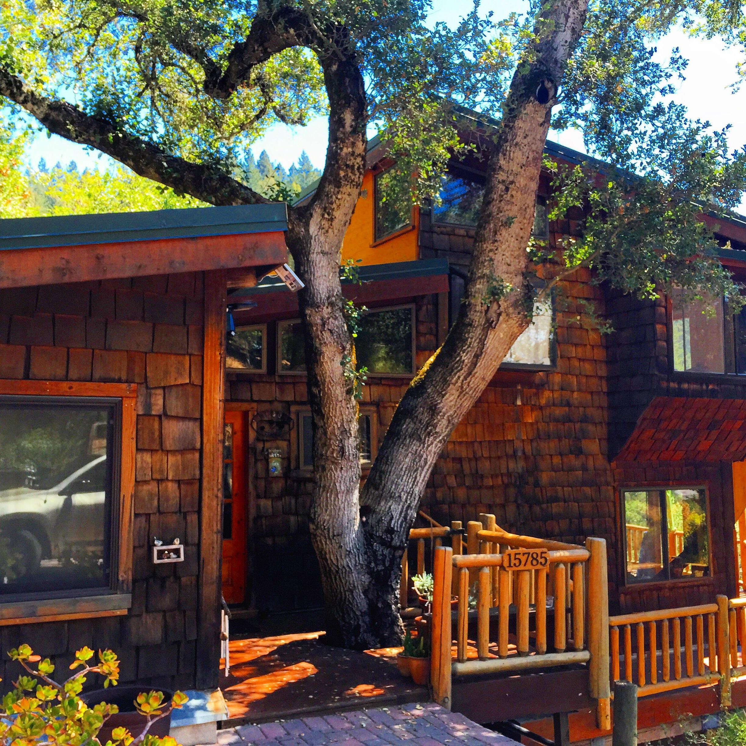 My friends cabin in the Santa Cruz Mountains. r/CozyPlaces