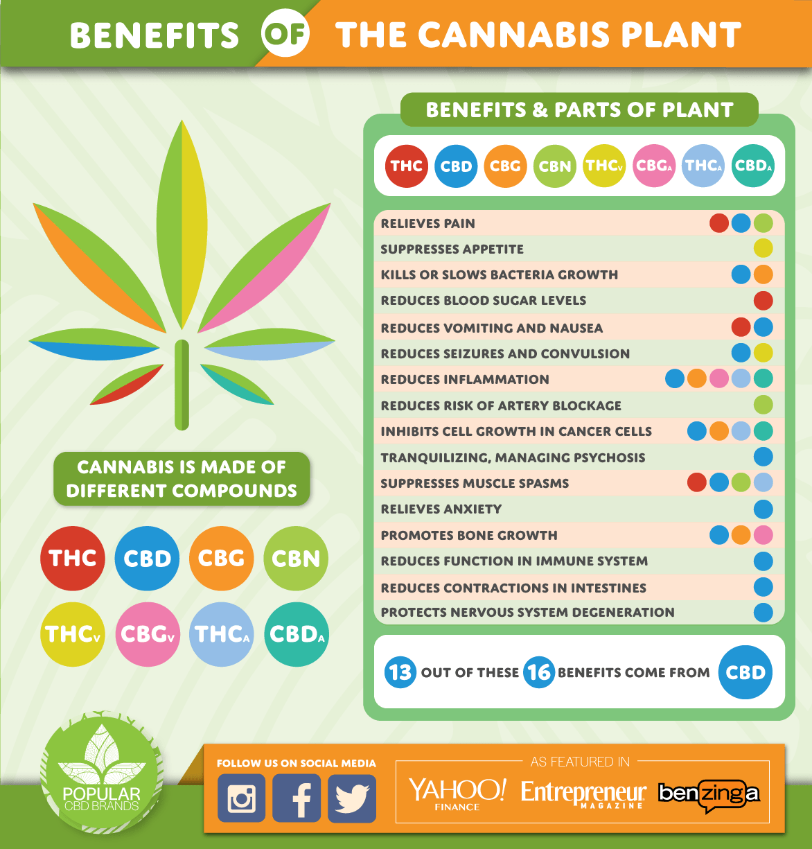 Cannabinoid compounds found in cannabis plants (Infographic) r/Marijuana