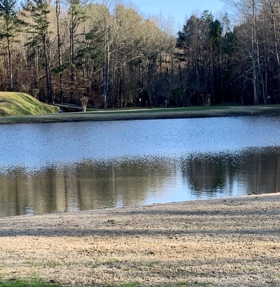 14 Woodland Hills, Cartersville Ga. 155 yards to the pin, 145 or so