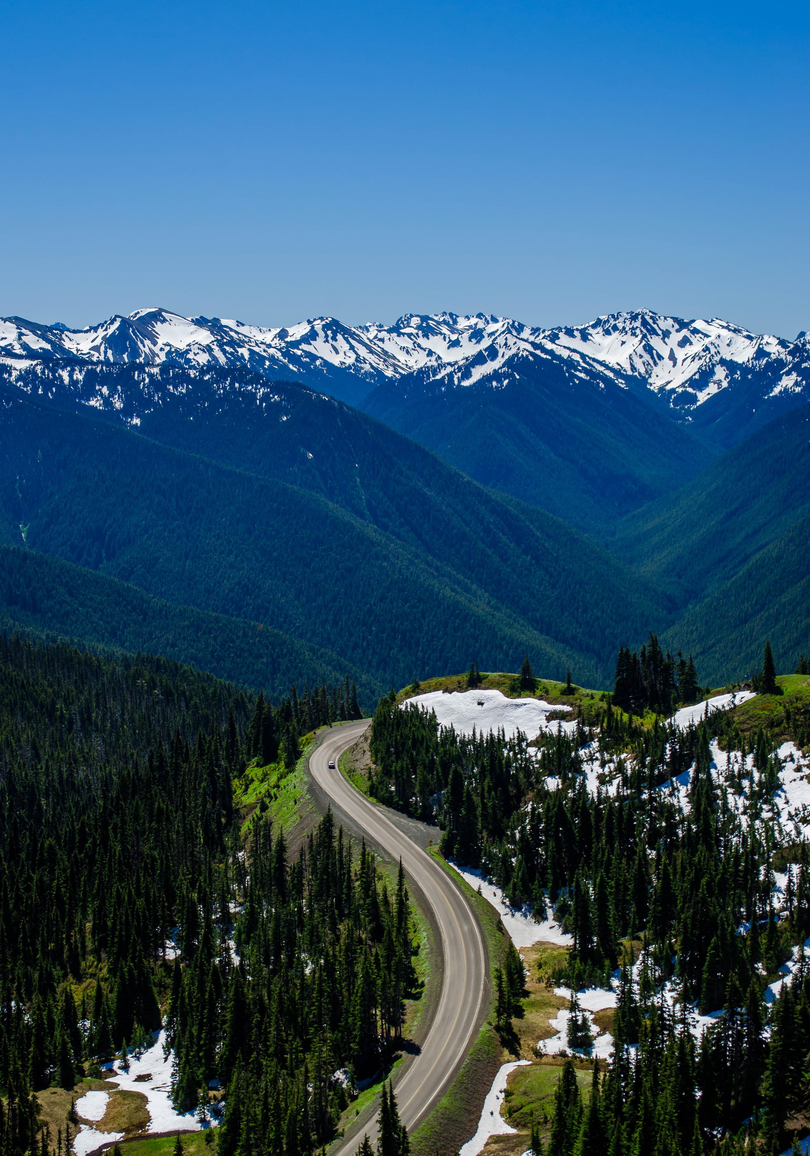 Hurricane Ridge Road, Olympic National Park, Washington, USA [OC
