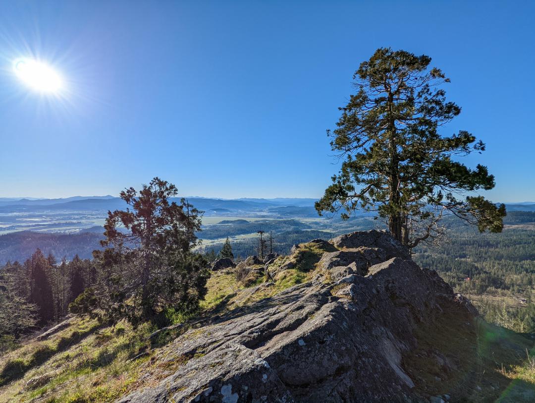 Spencer Butte this morning r/Eugene