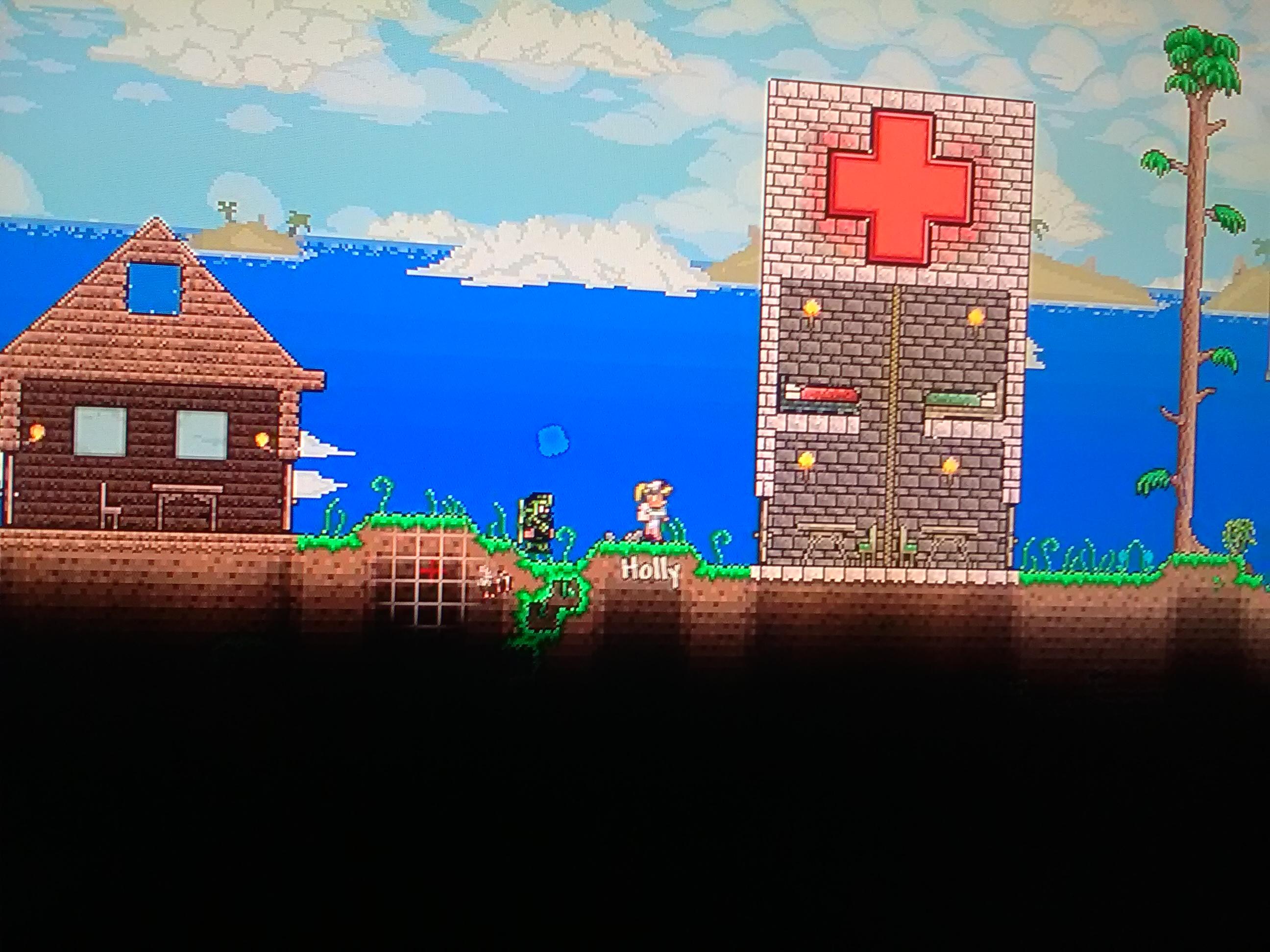 Terraria Nurse House