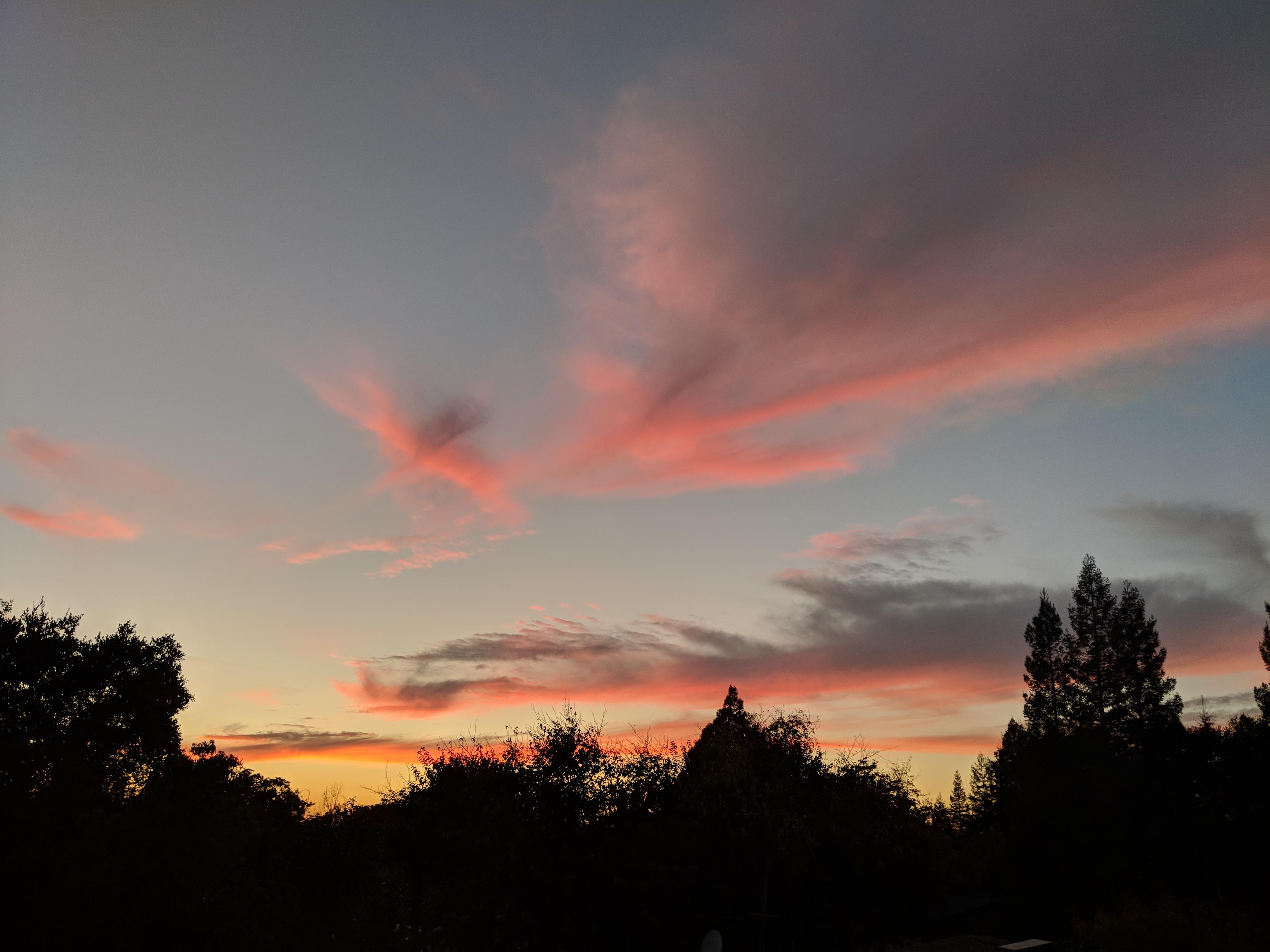 Another sunset in Sacramento, CA [OC] [3024x4032] SkyPorn