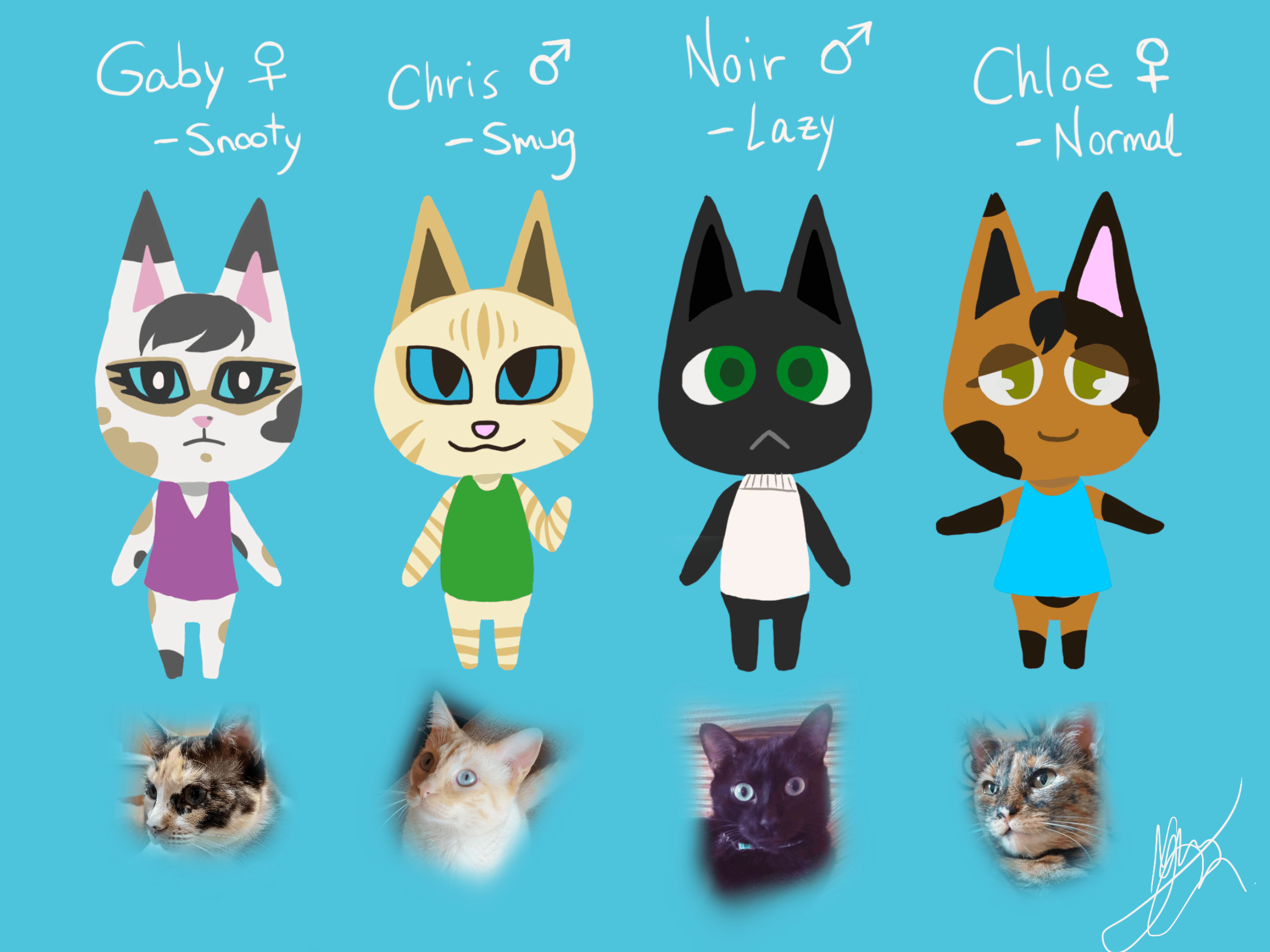 I drew my cats into animal crossing villagers! r/ac_newhorizons