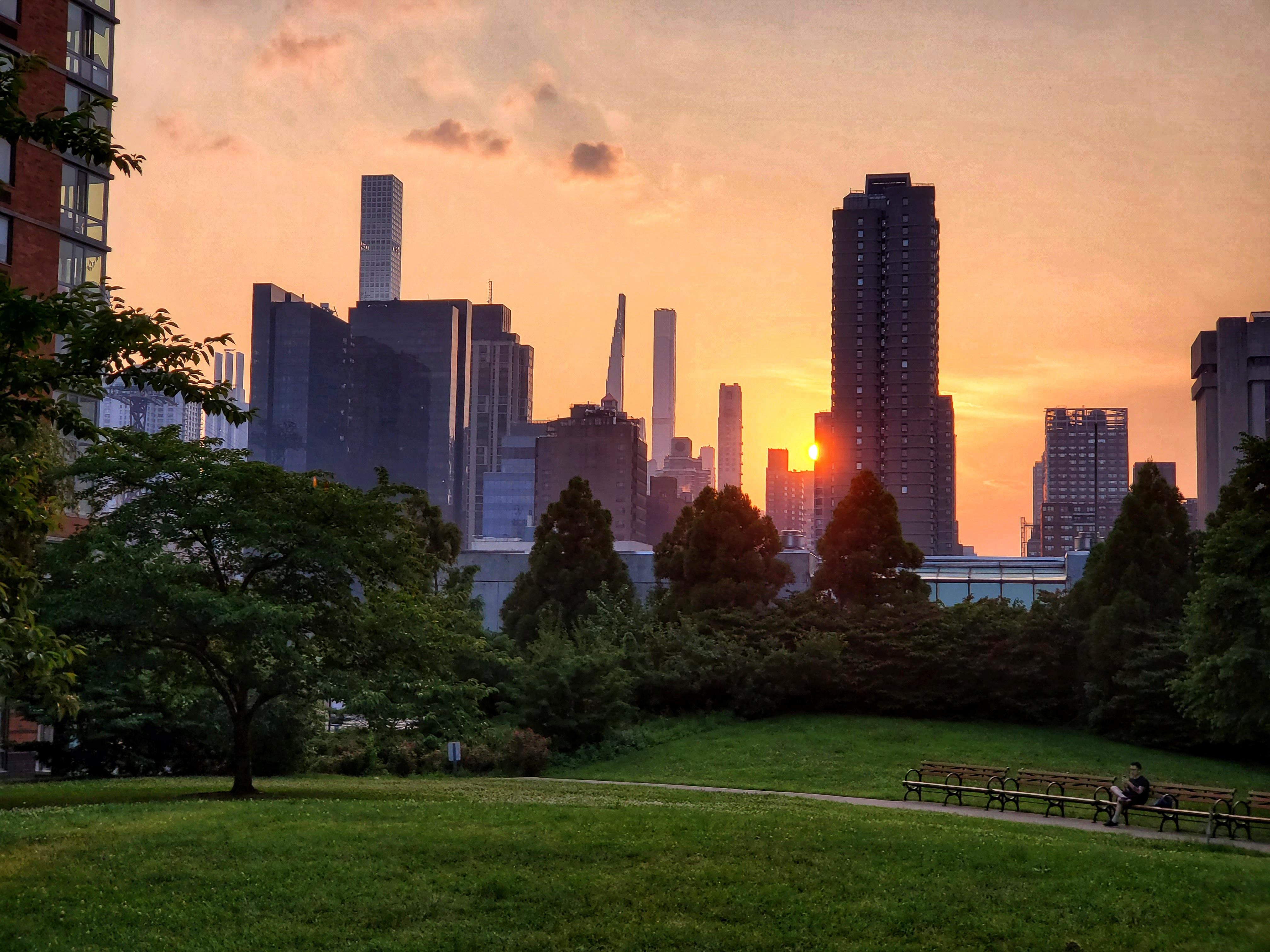 Sunset on Roosevelt Island New York city r/beautifultrees