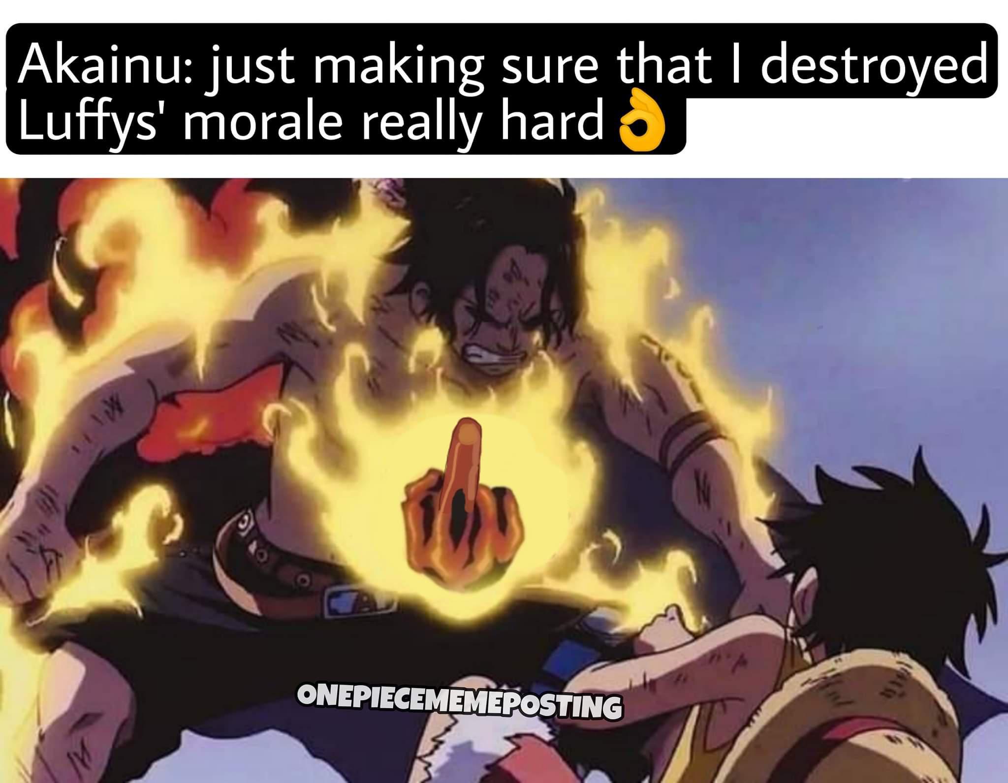 Damn it Akainu!! r/MemePiece