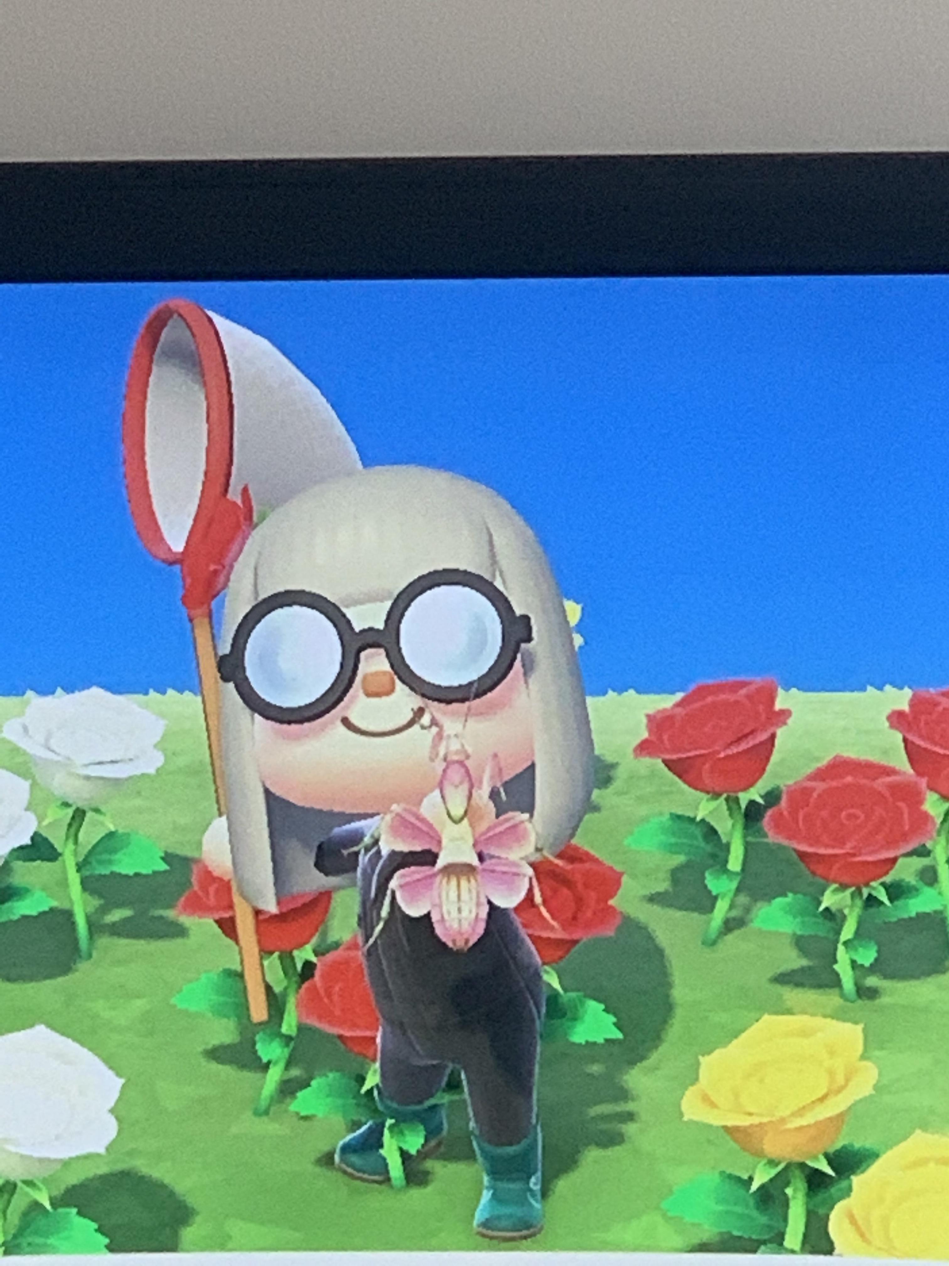 Found an Orchid Mantis is Animal Crossing! mantids