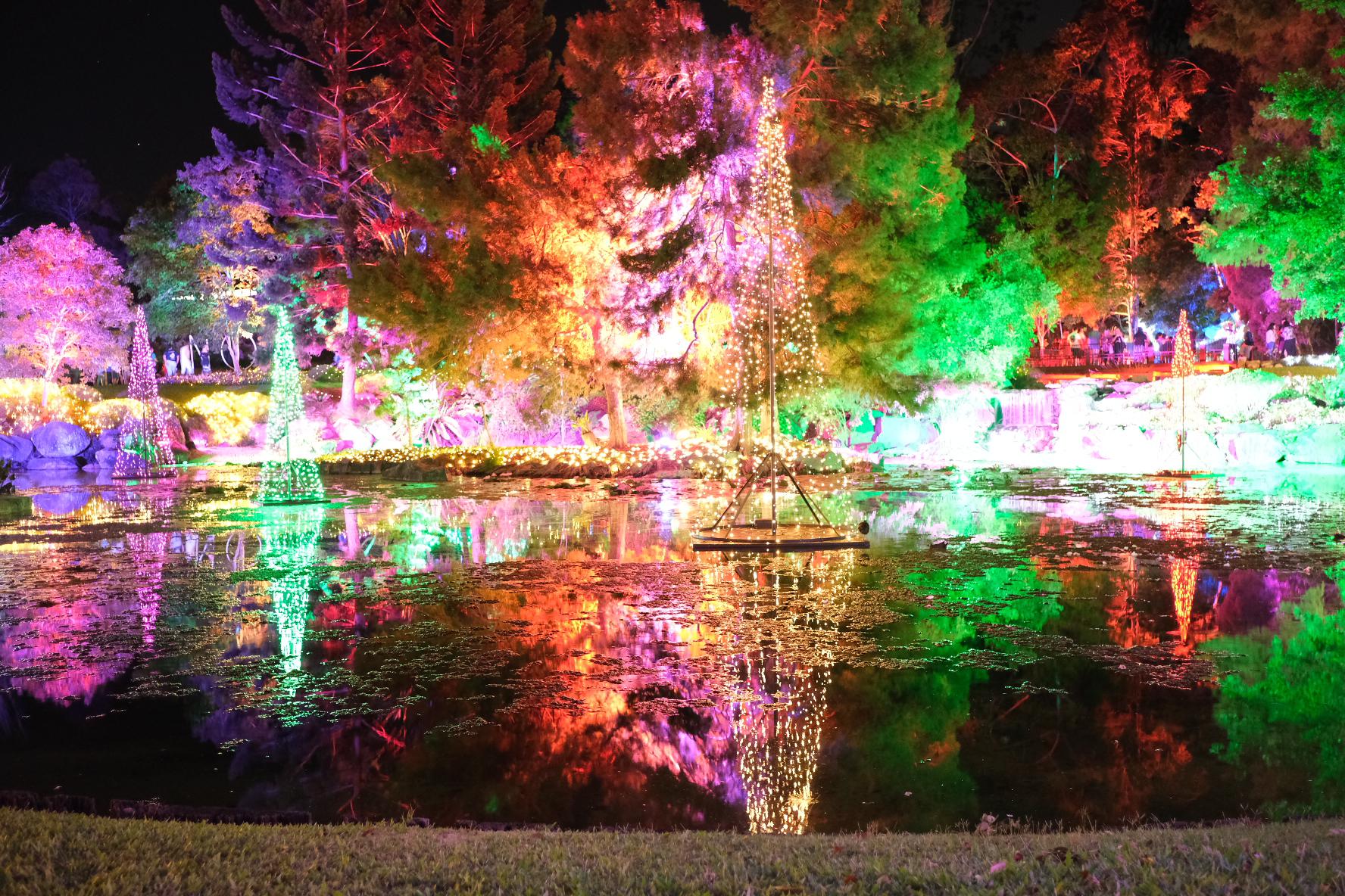 Nerima gardens Christmas lights ipswich r/brisbane