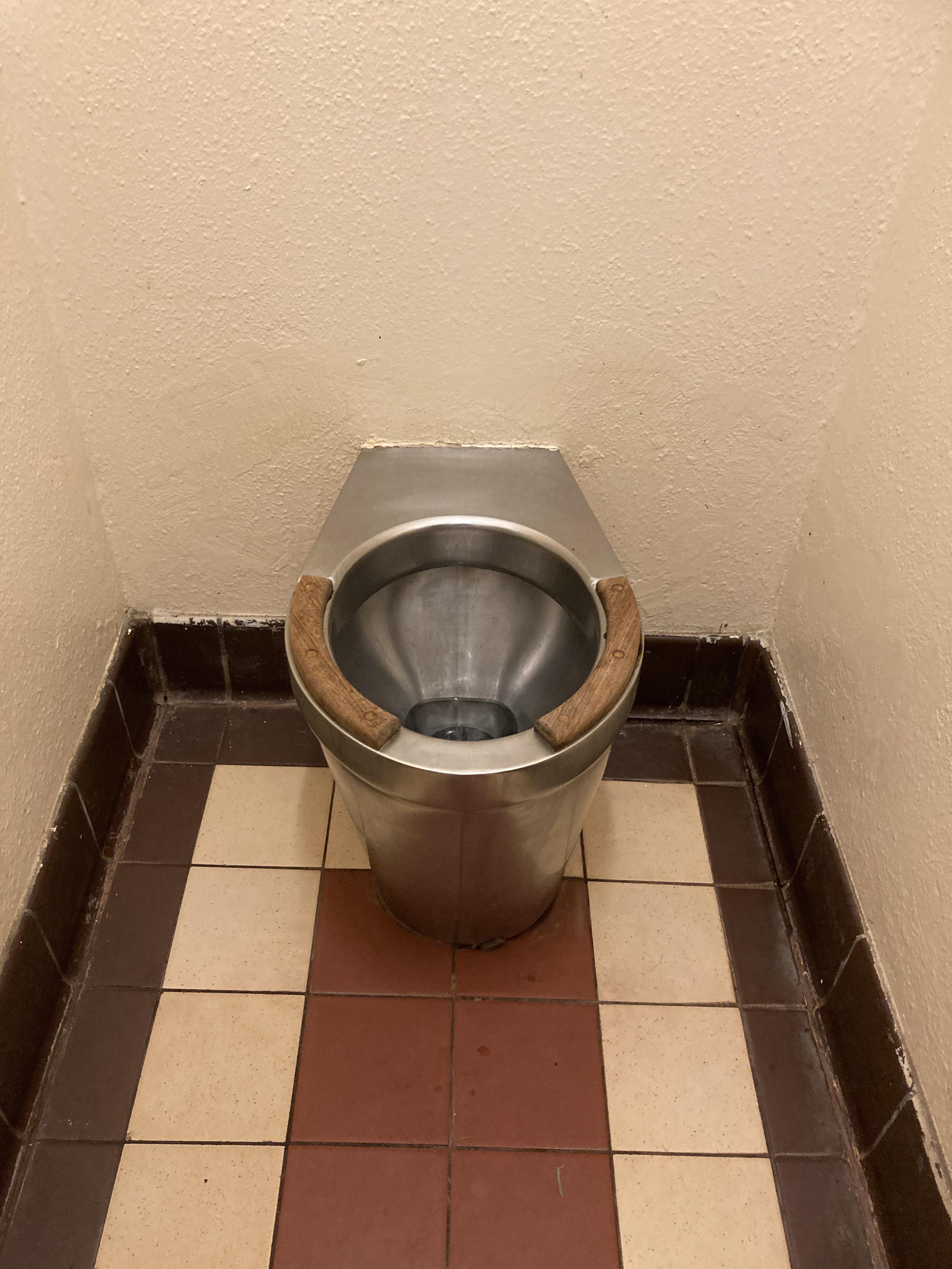 Council toilet in the park looks so unappealing that my kid refused to sit on it in case he