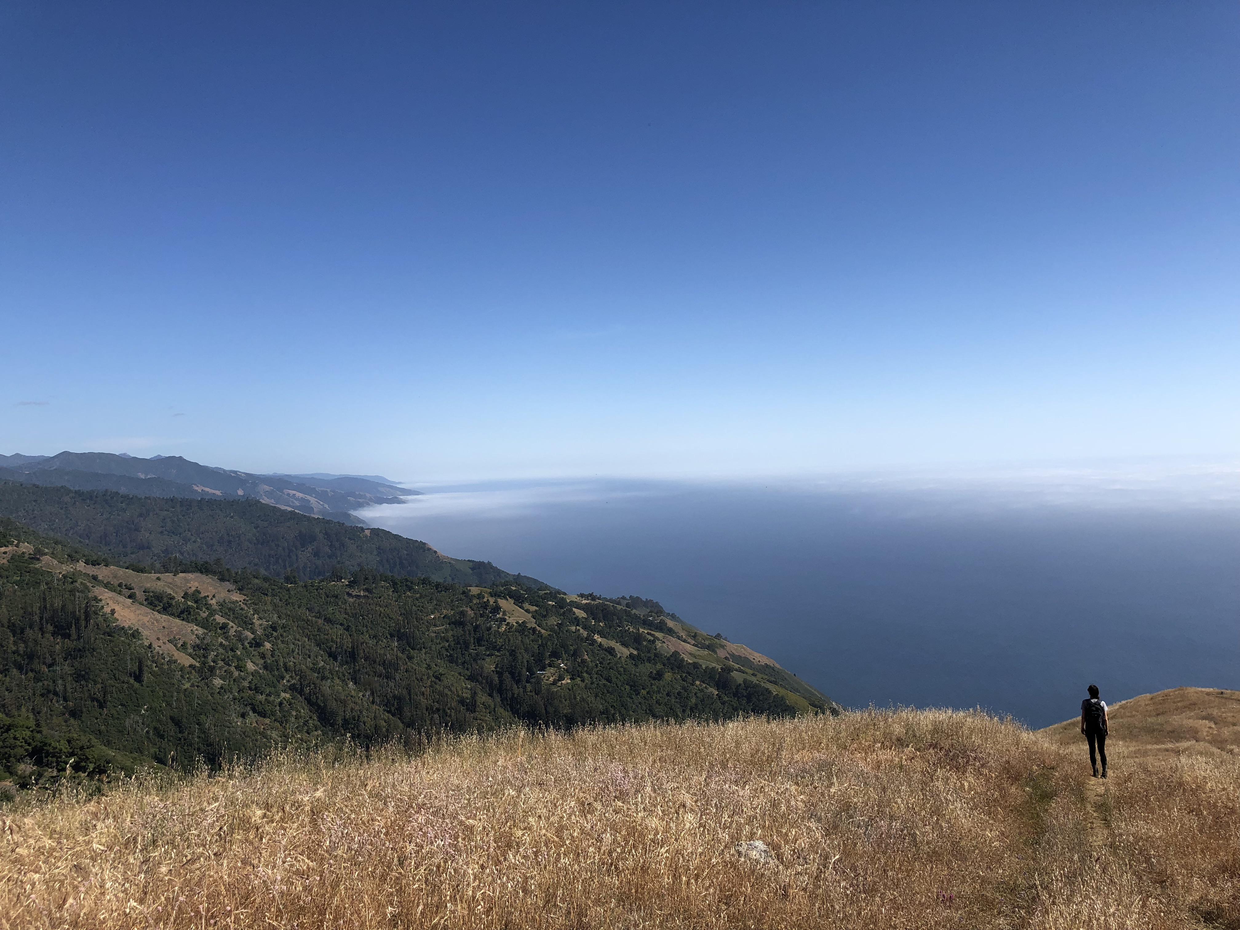 Near the top. Timbertop trail, Big sur, California, USA r/hiking
