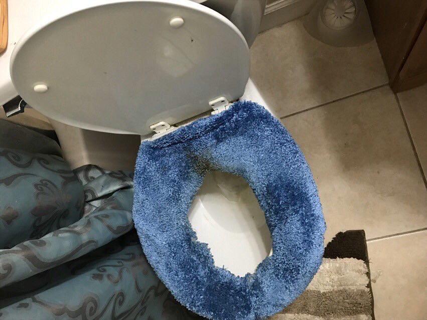 thanks, I hate carpeted toilet seats r/TIHI