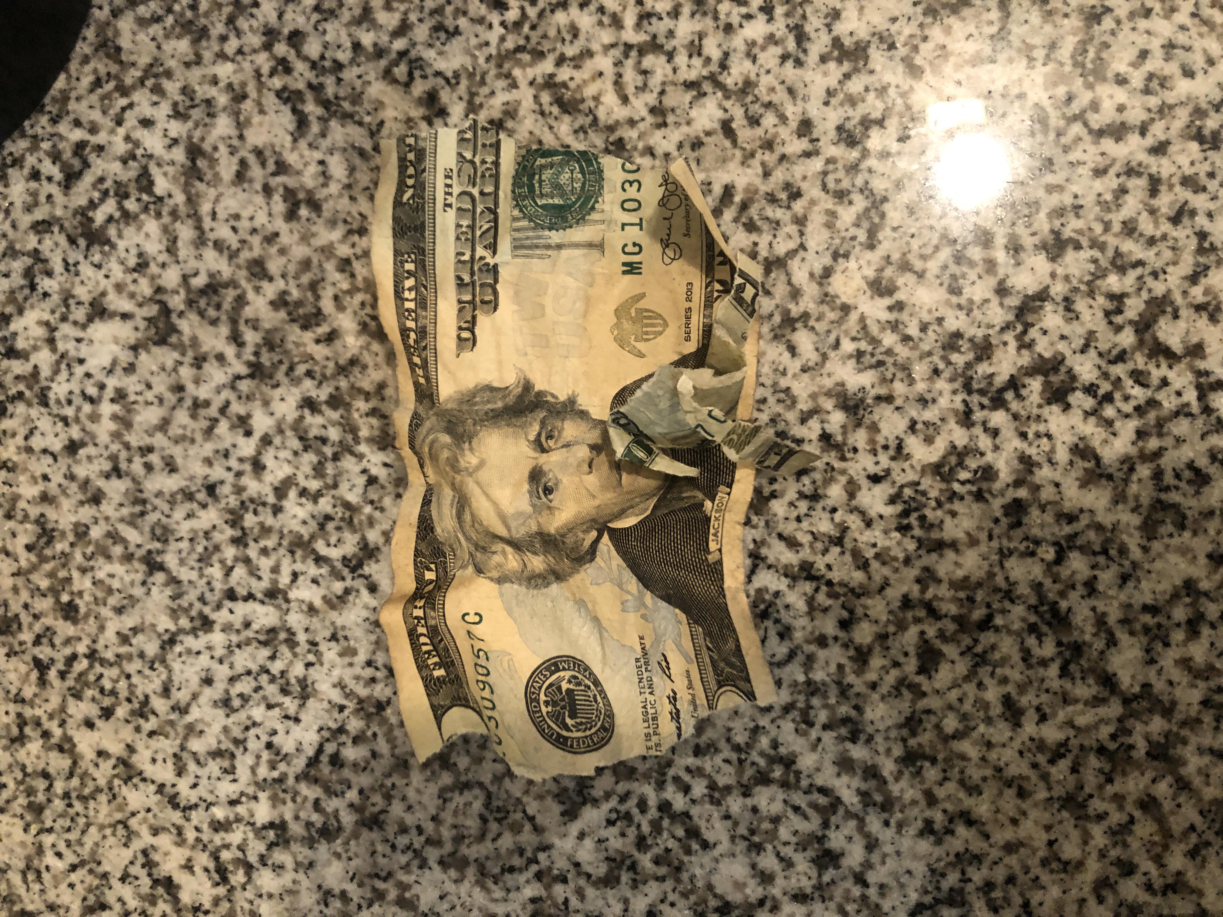 My dog chewed up a 20 bill r/Wellthatsucks