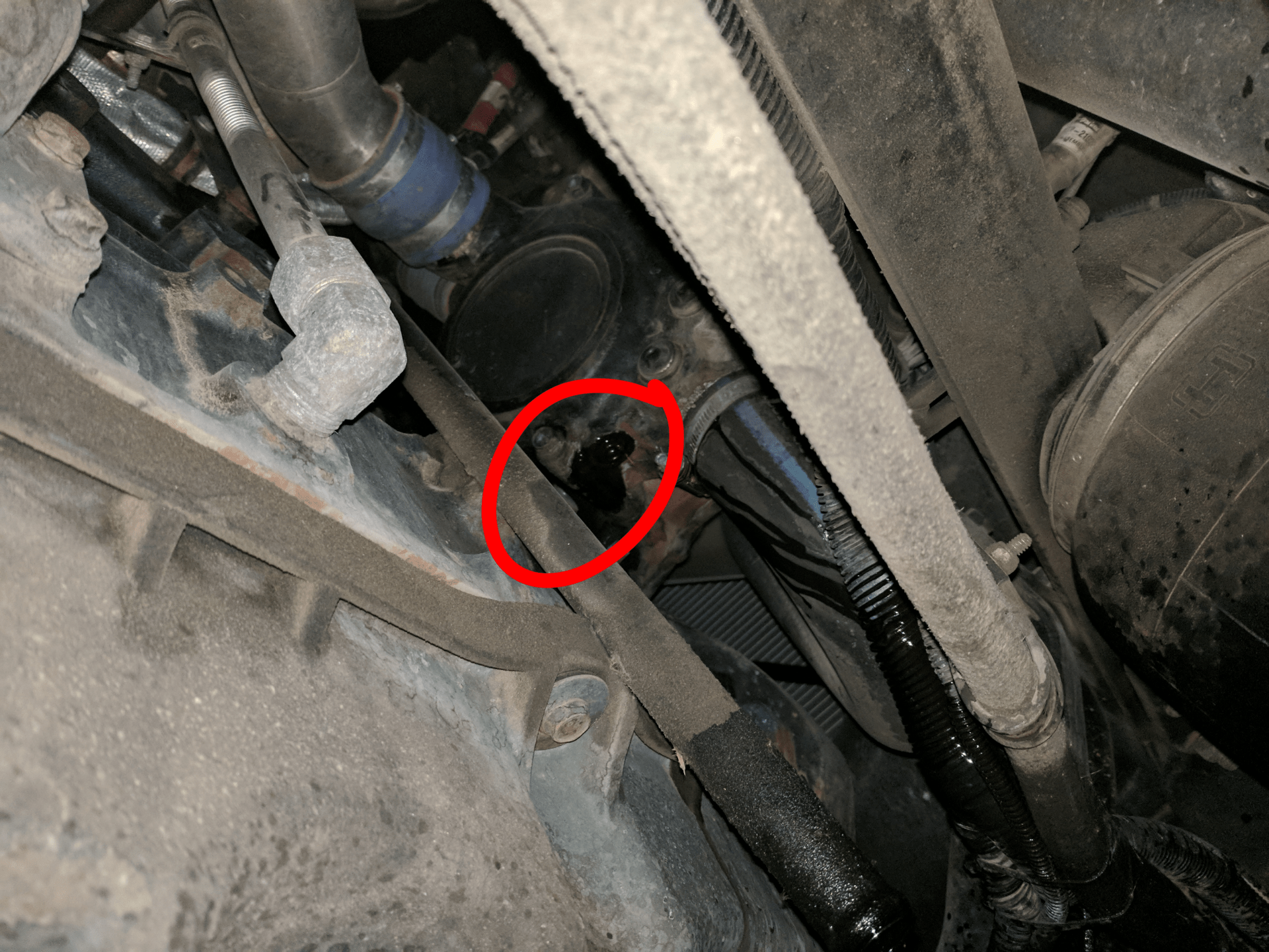 Leaking coolant, is this the water pump weep hole? r/Truckers