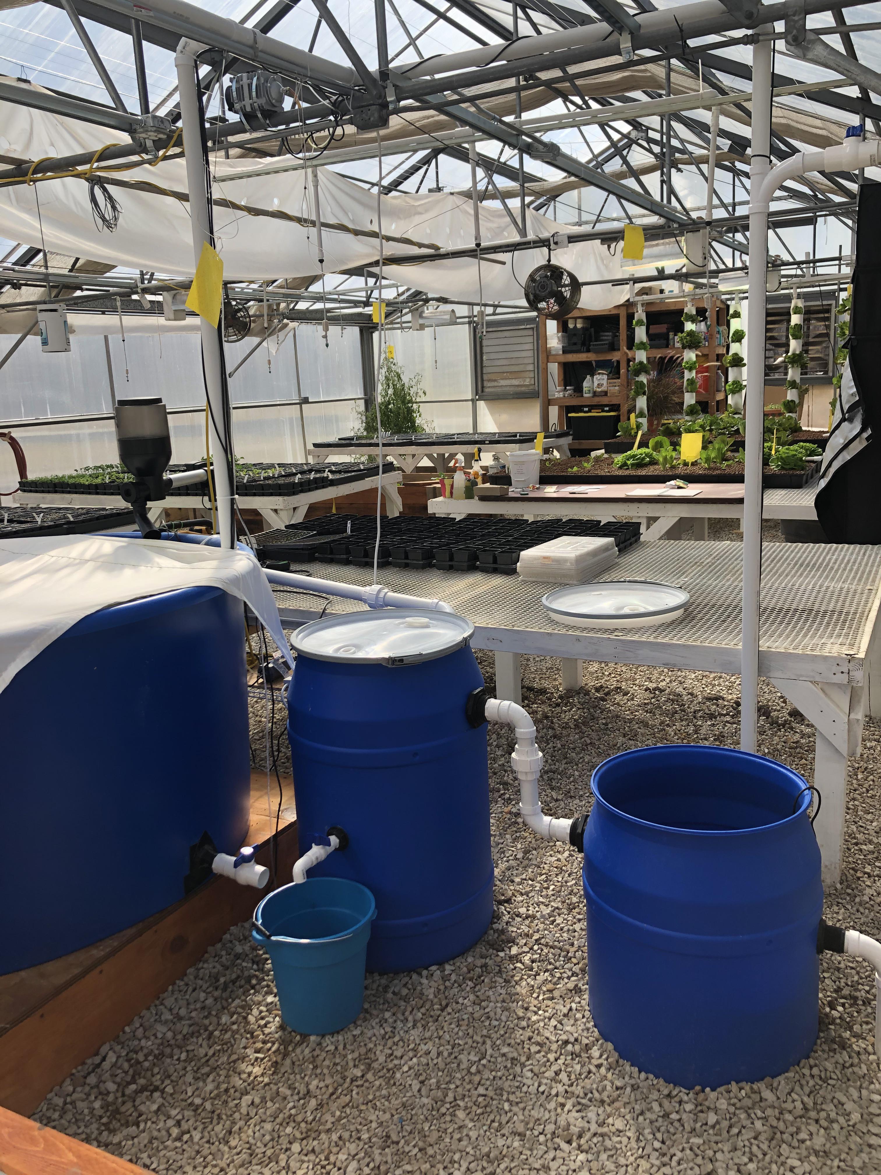 Ideal aquaponics pH? aquaponics