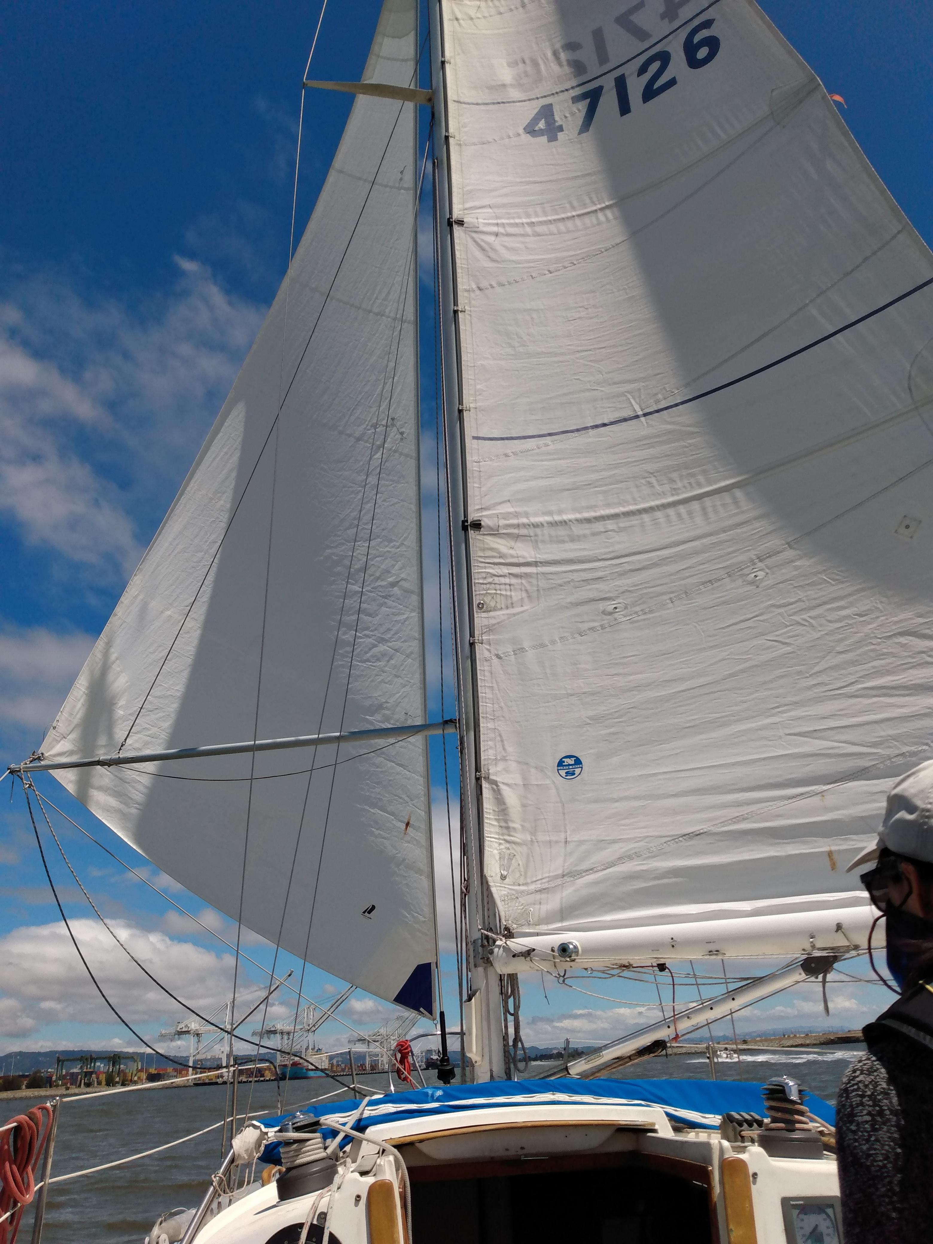 Wing on wing r/sailing