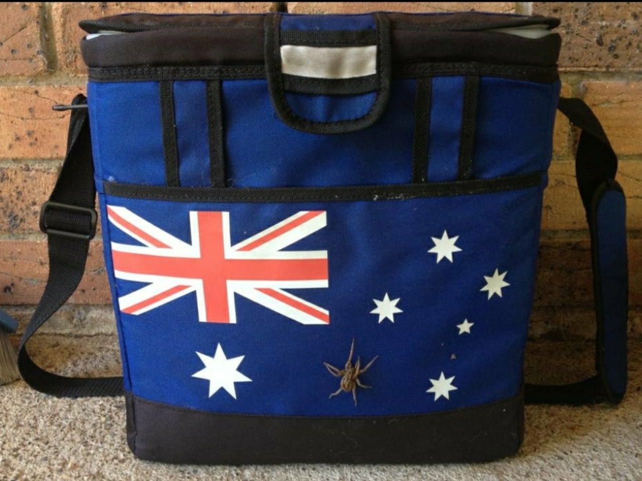 Australian esky guard r/australia