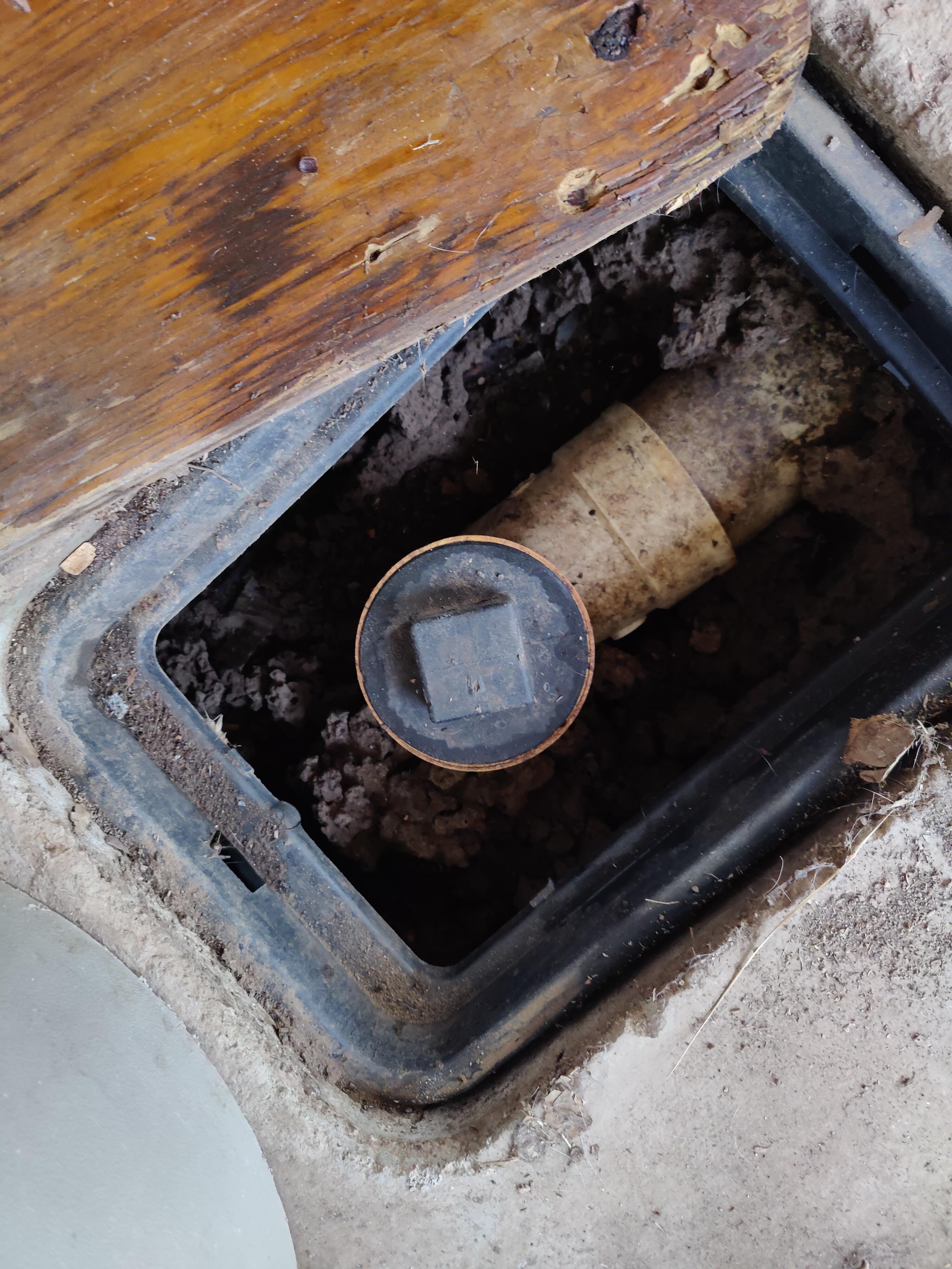 Is this a septic tank main cap or main line? Could they empty my tank from here? r/Plumbing