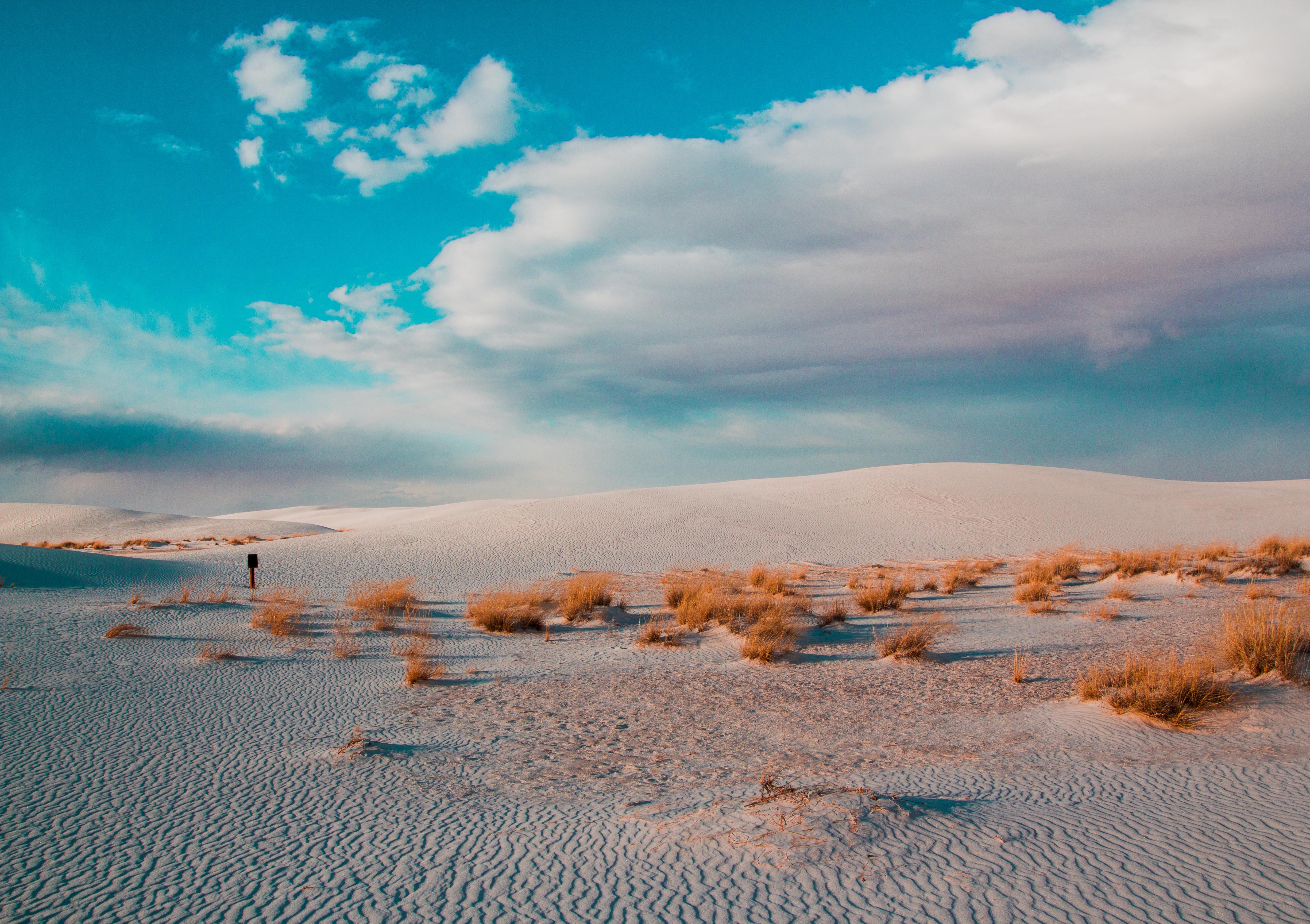 The White Sands, New Mexico [OC], [4901x3456] r/EarthPorn