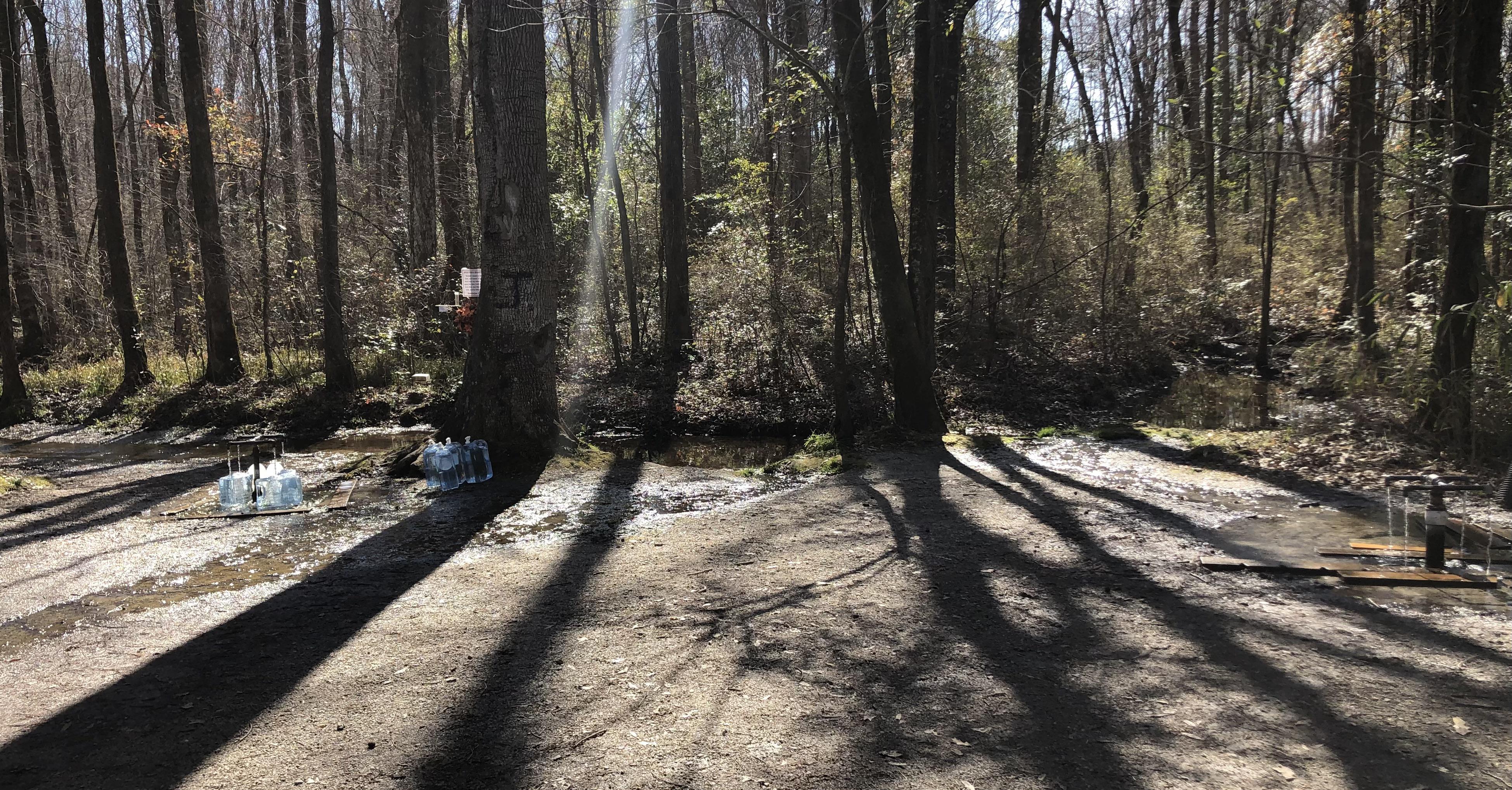 God’s Acre Healing Springs, outside Blackville r/southcarolina