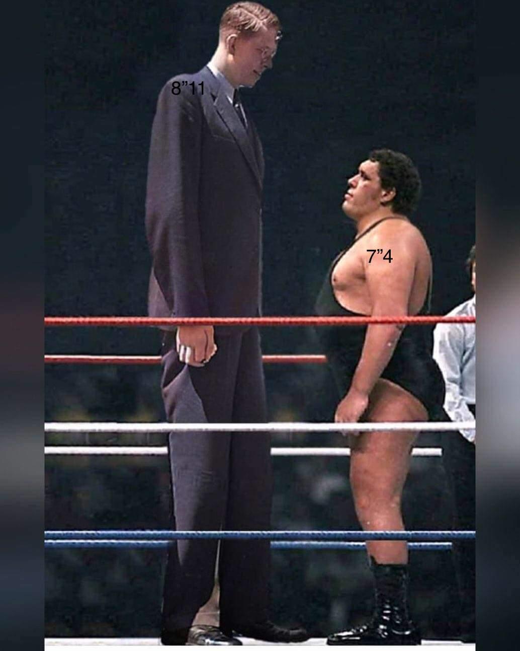 what it would look like if andre the giant met the worlds tallest man robert wadlow. robert