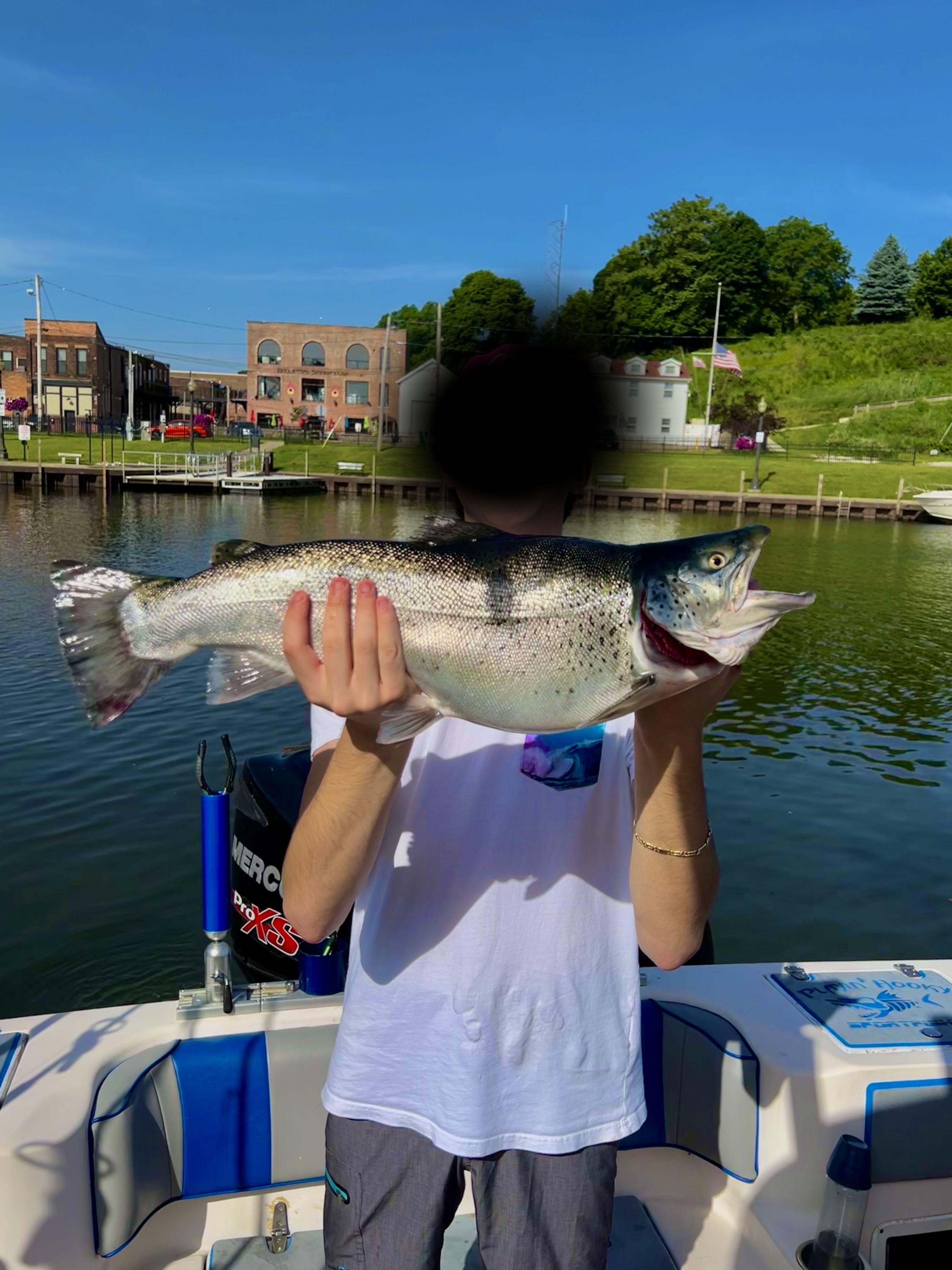 I caught a 9.4 pound brown trout in Lake Erie that swam down from NY