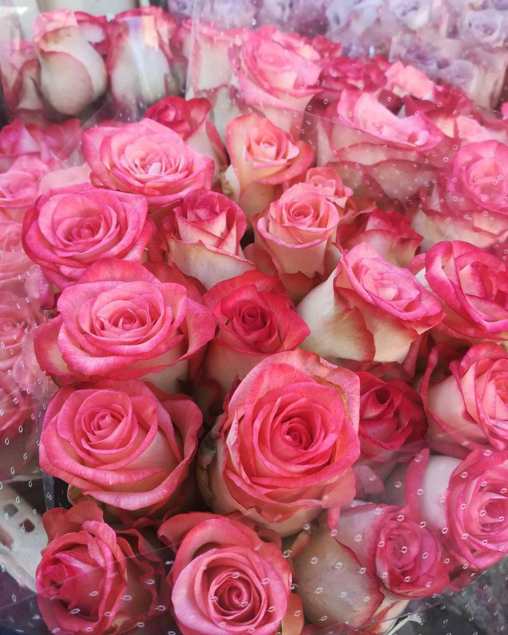 A bunch of roses in an Italian market 🌹 r/plants