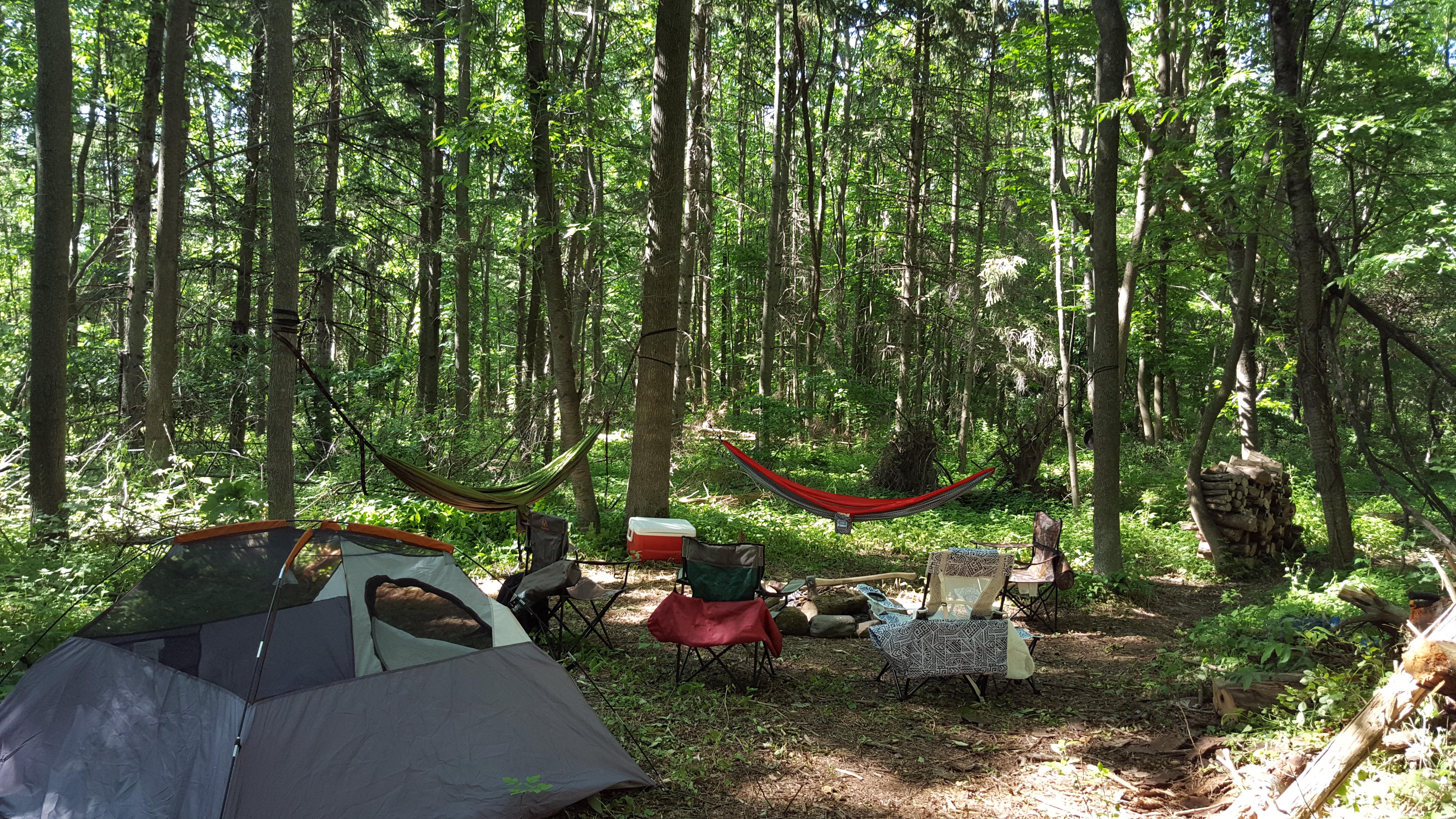 Updated shot of my private hammock camp ! r/Hammocks