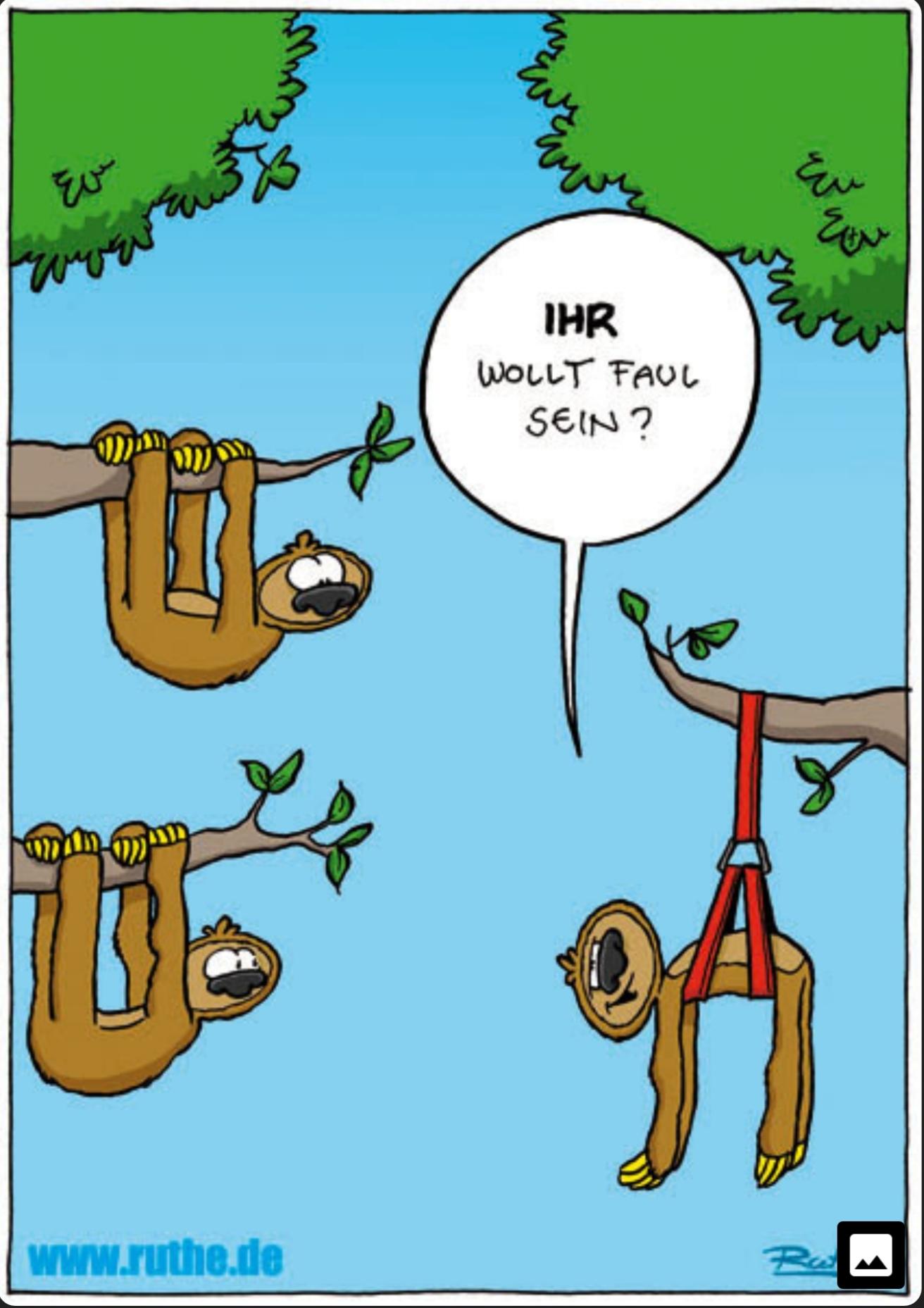 Dieser Ruthe ist echt genial... 😂😂😂 Sprechstunde