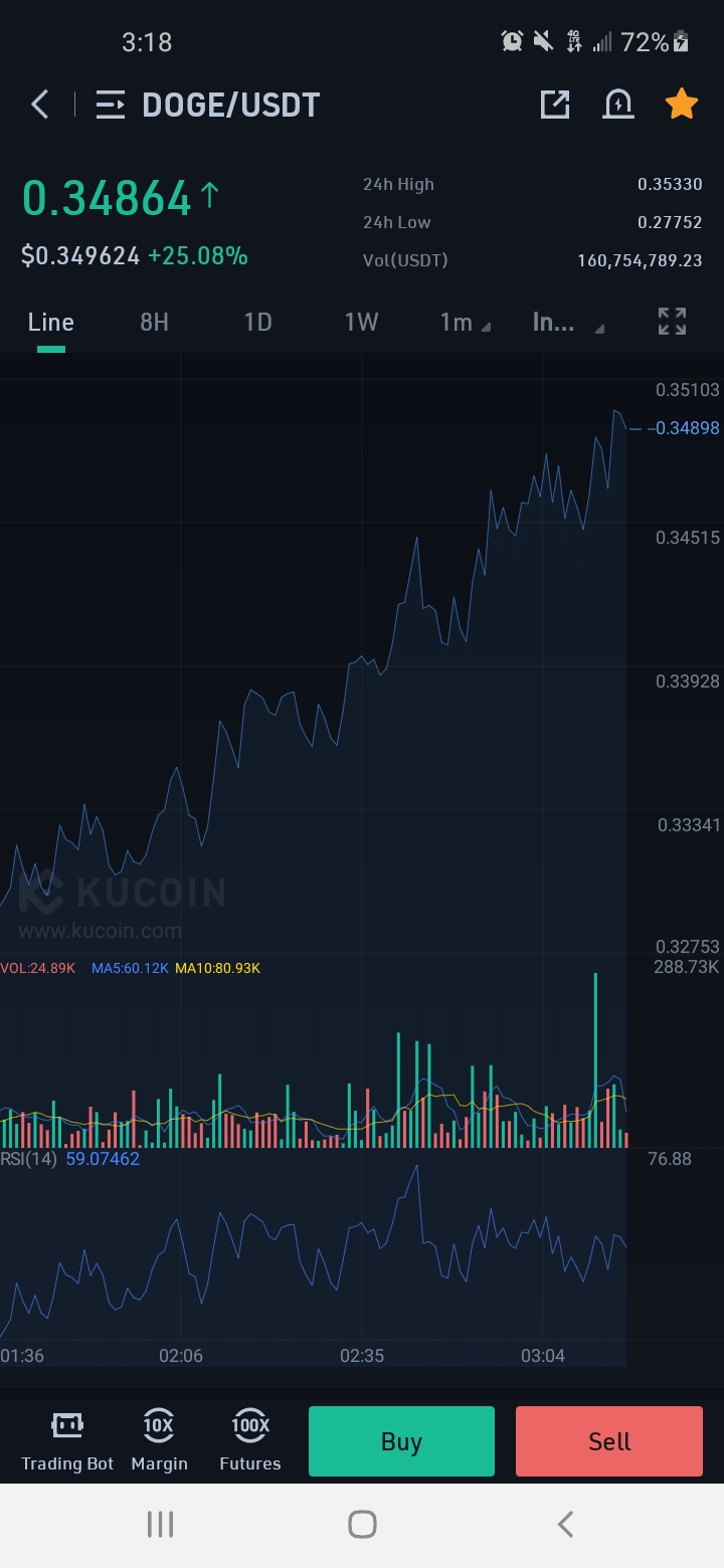 DOGEUSD Real-time chart Dogecoin 1 Minute