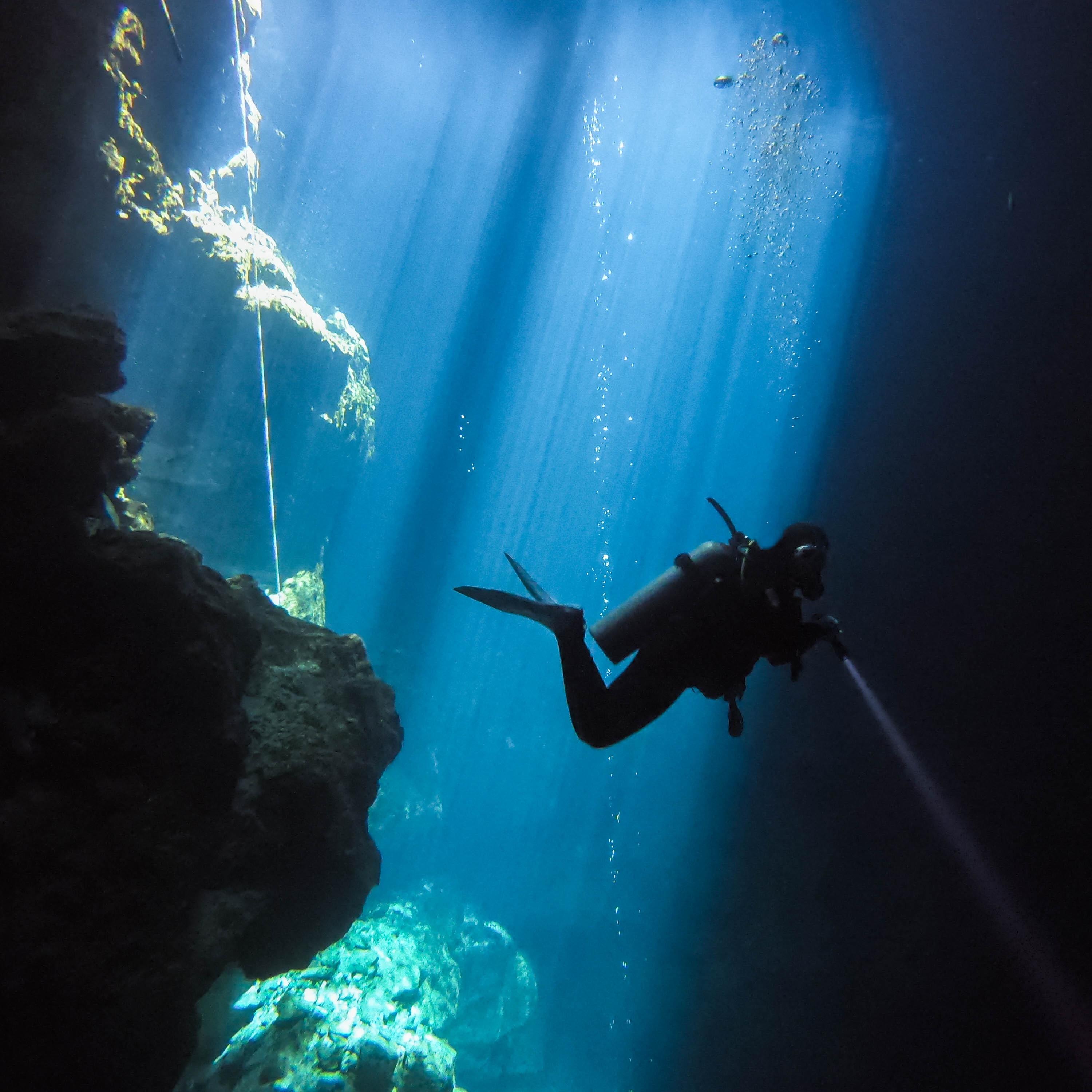Finally got a chance to dive El Pit Cenote (sinkhole) in the Mexican jungle. The Mayan owners
