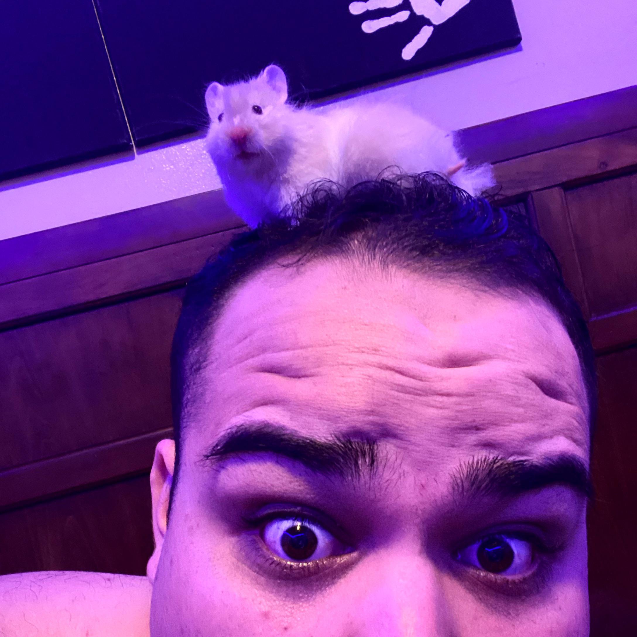 Wanda is keeping me company on my nights off . It’s the best part of